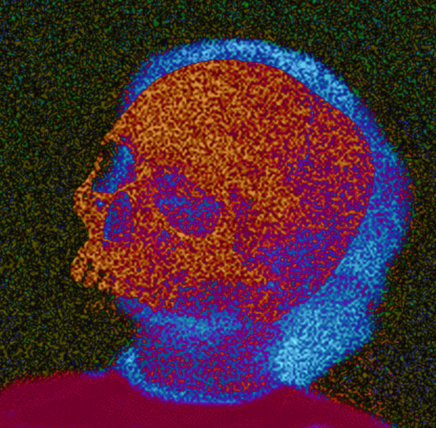 skullBoy