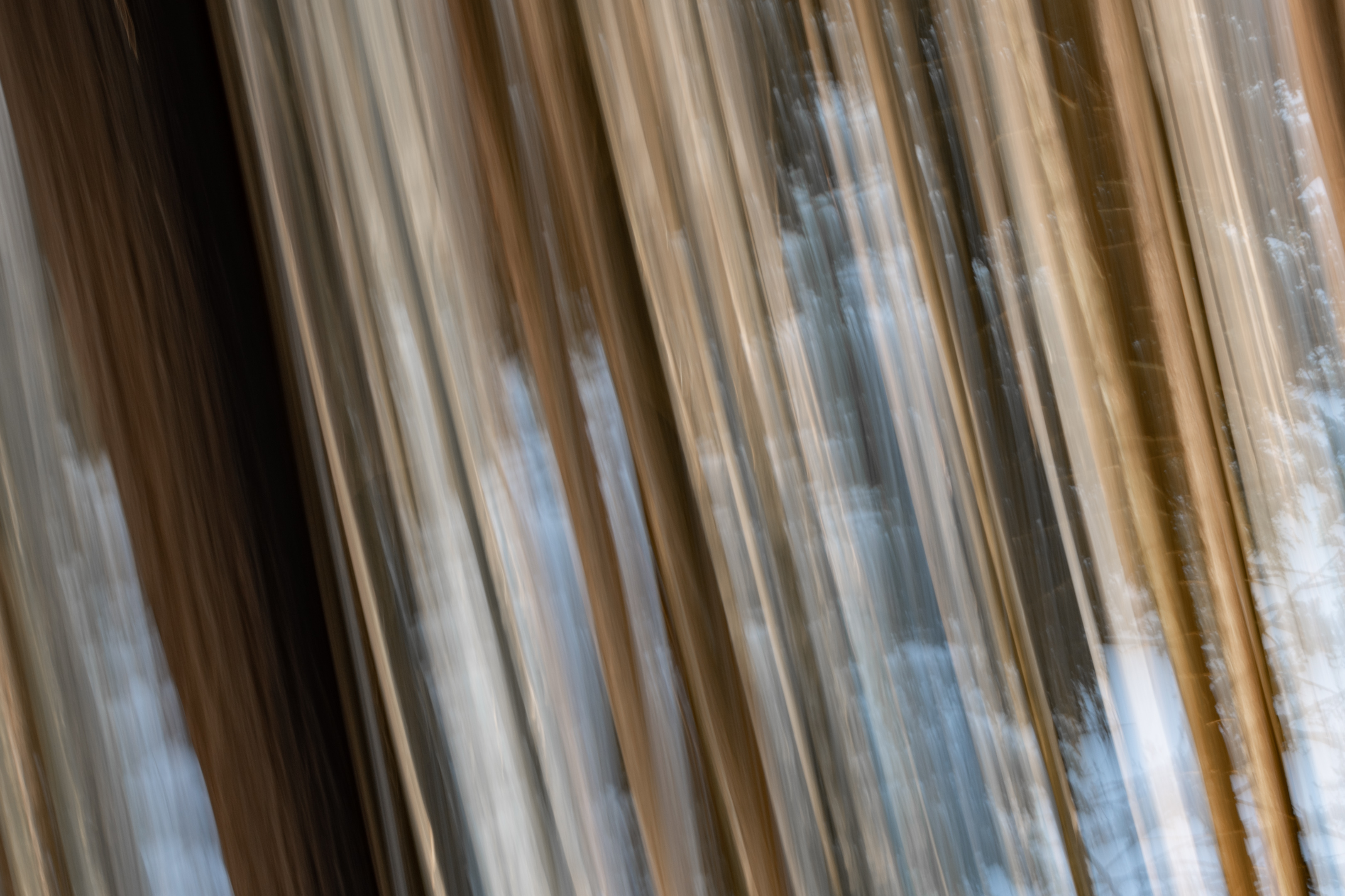 The Ghosts of Elowah #36