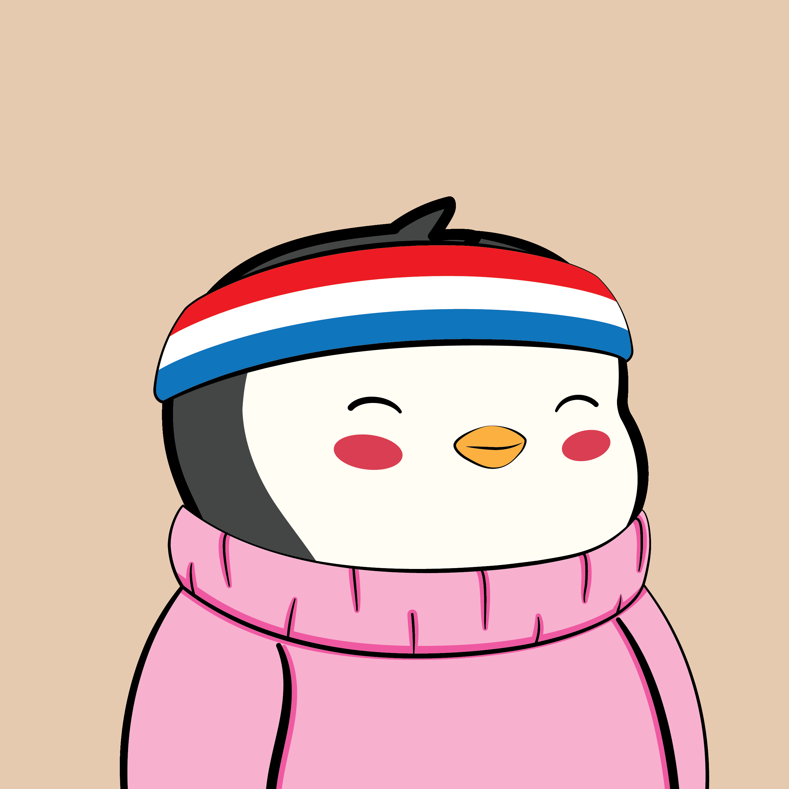 Pudgy #6849
