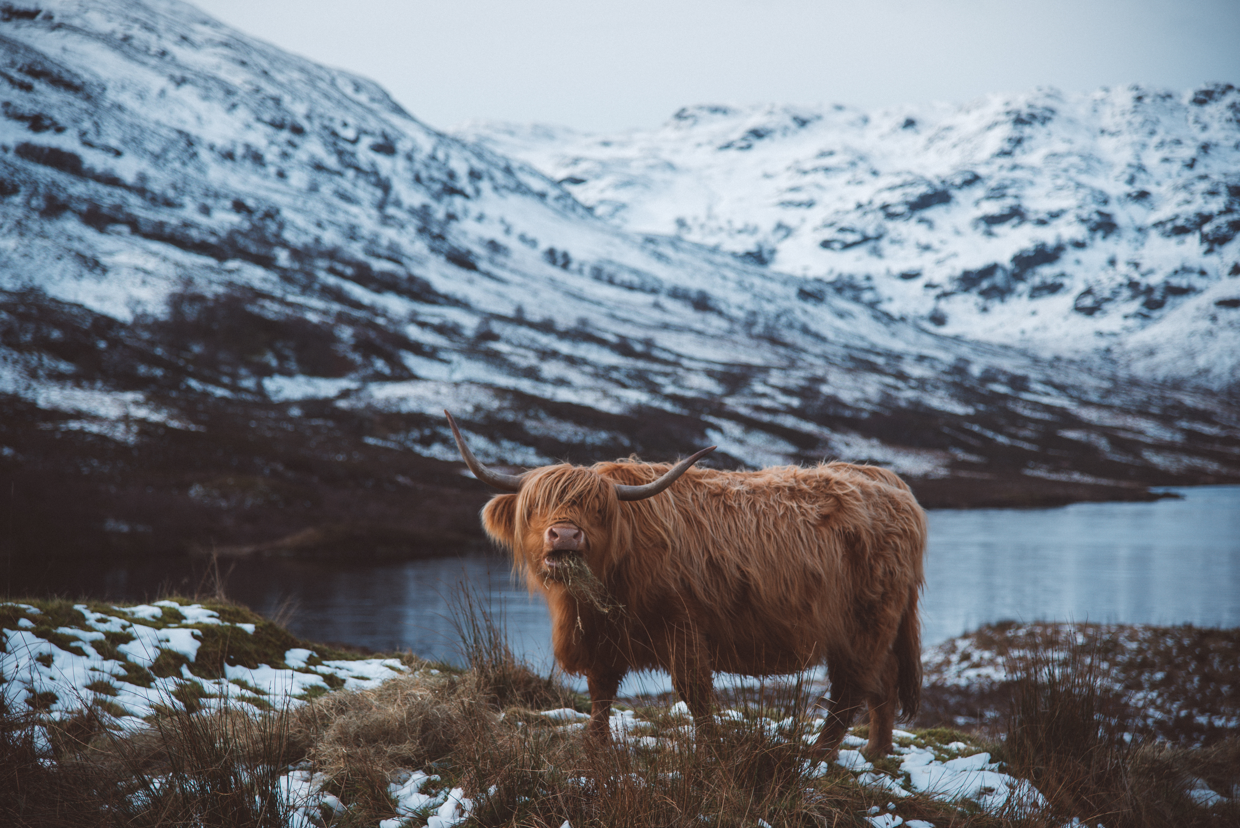 The Hungry Highlander Part Two