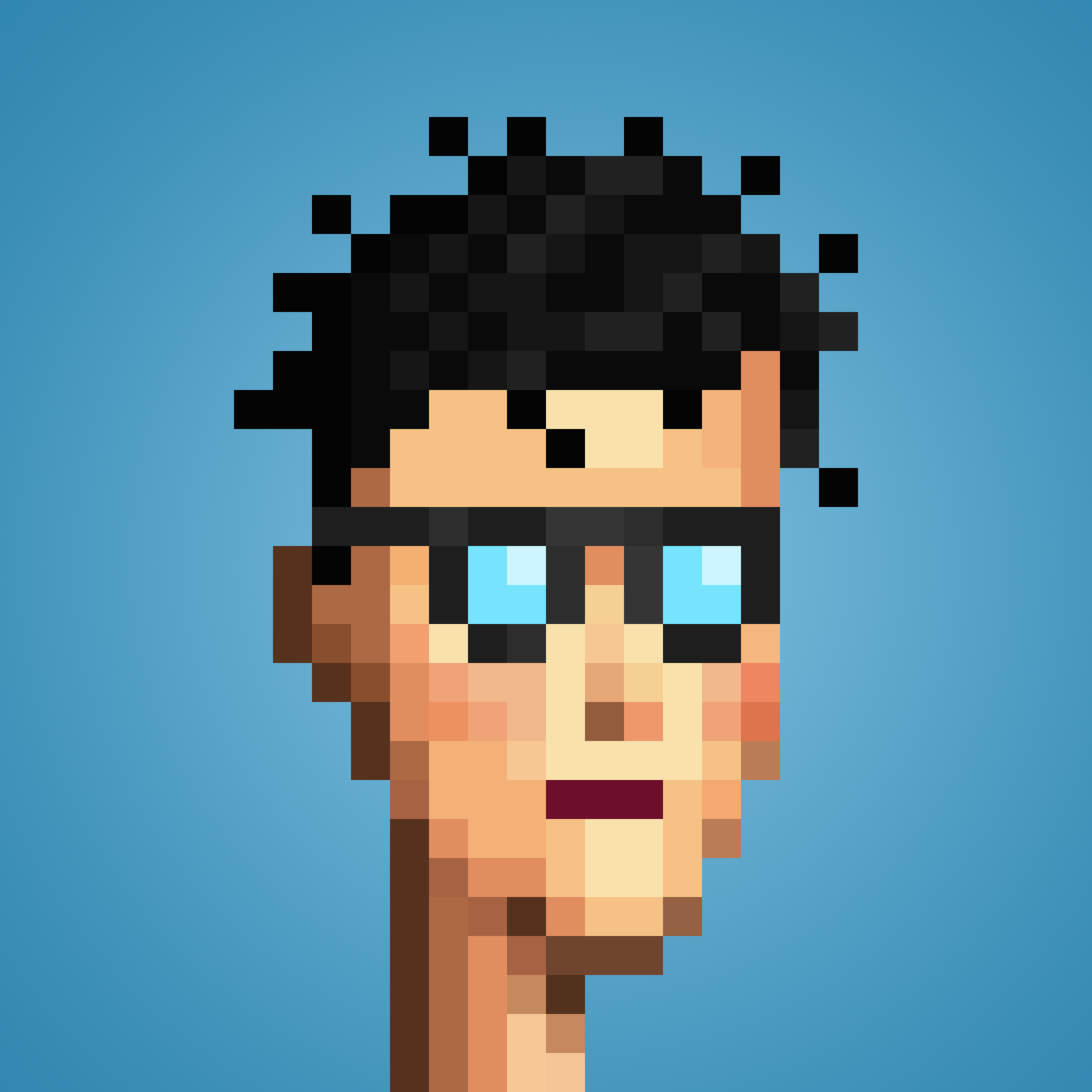 Punk #348