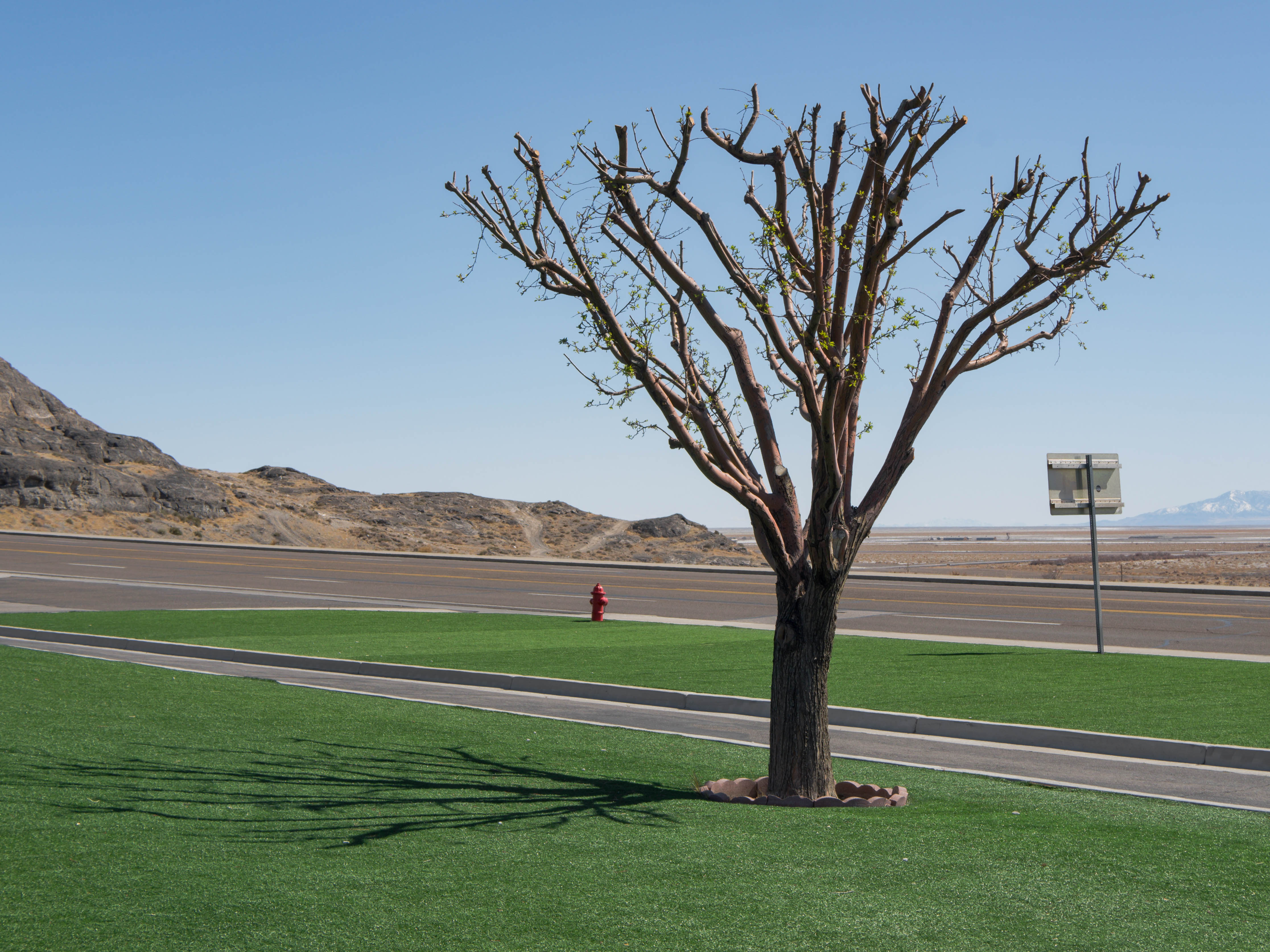 WENDOVER #03 - Evergreen [2023 Edition]