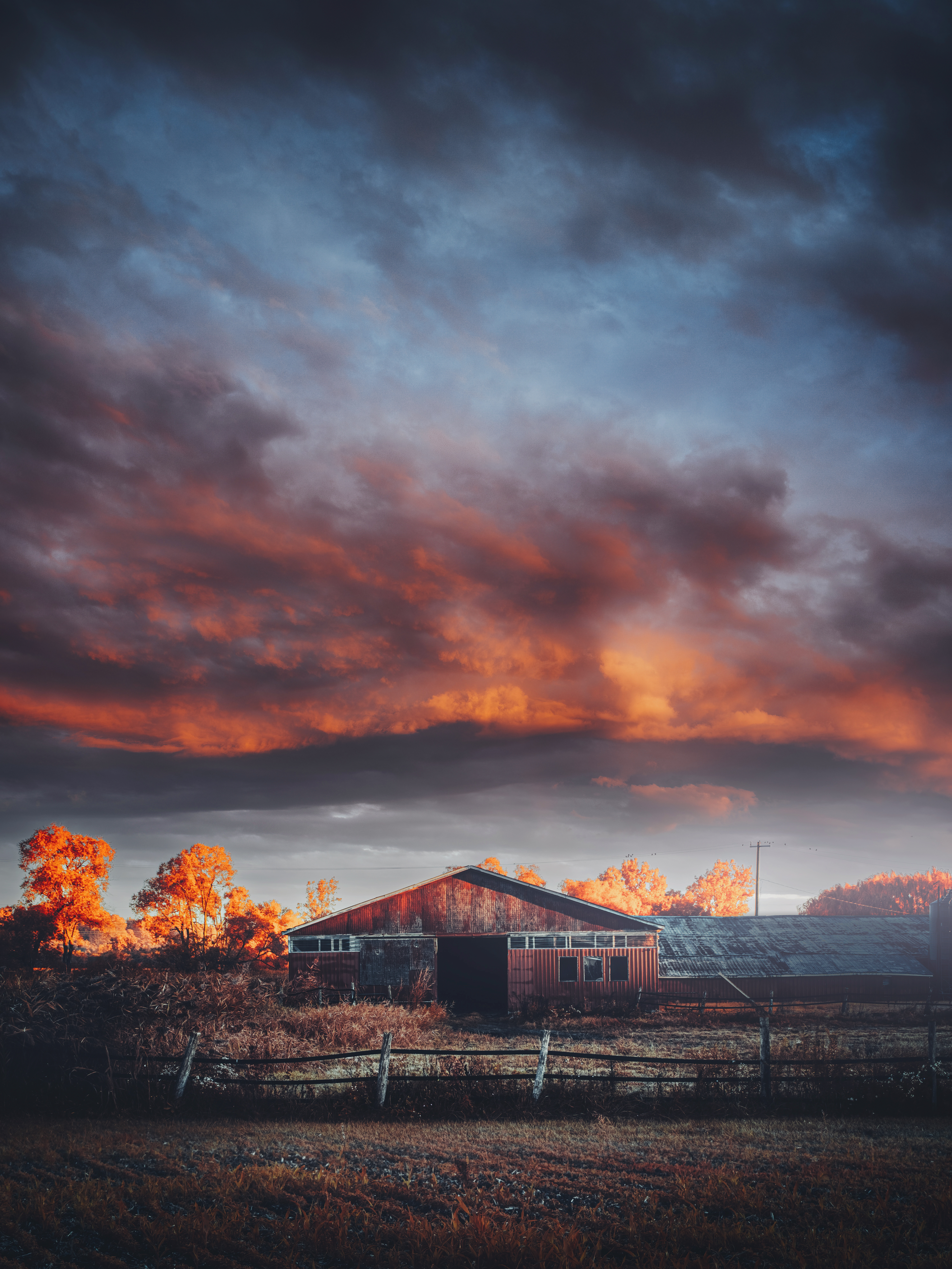 and then, the quiet explosion #46/69