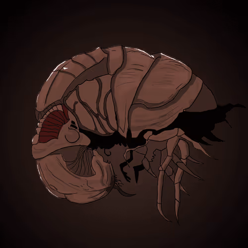 Swarm #51