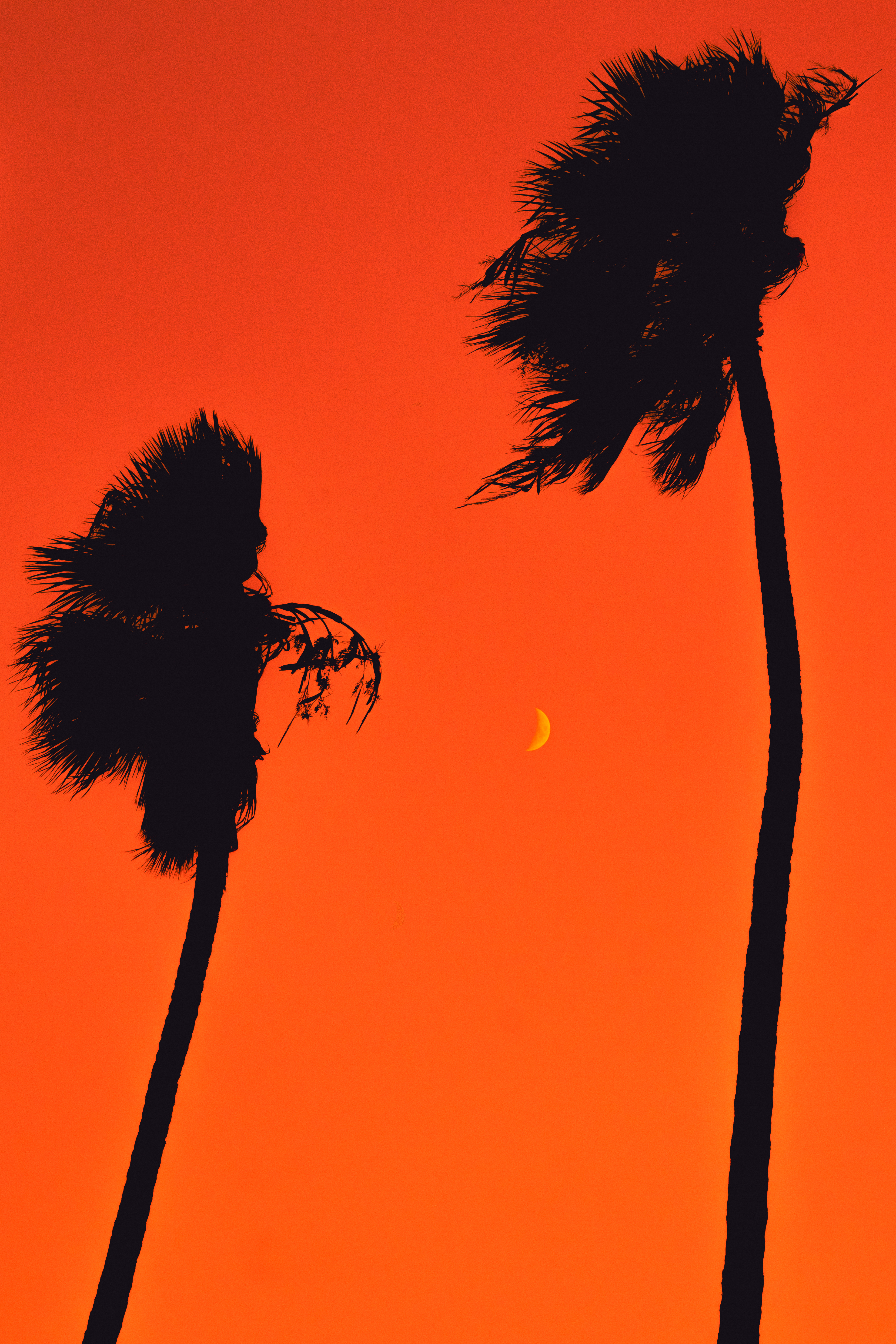 Big Lil Moon #60/134