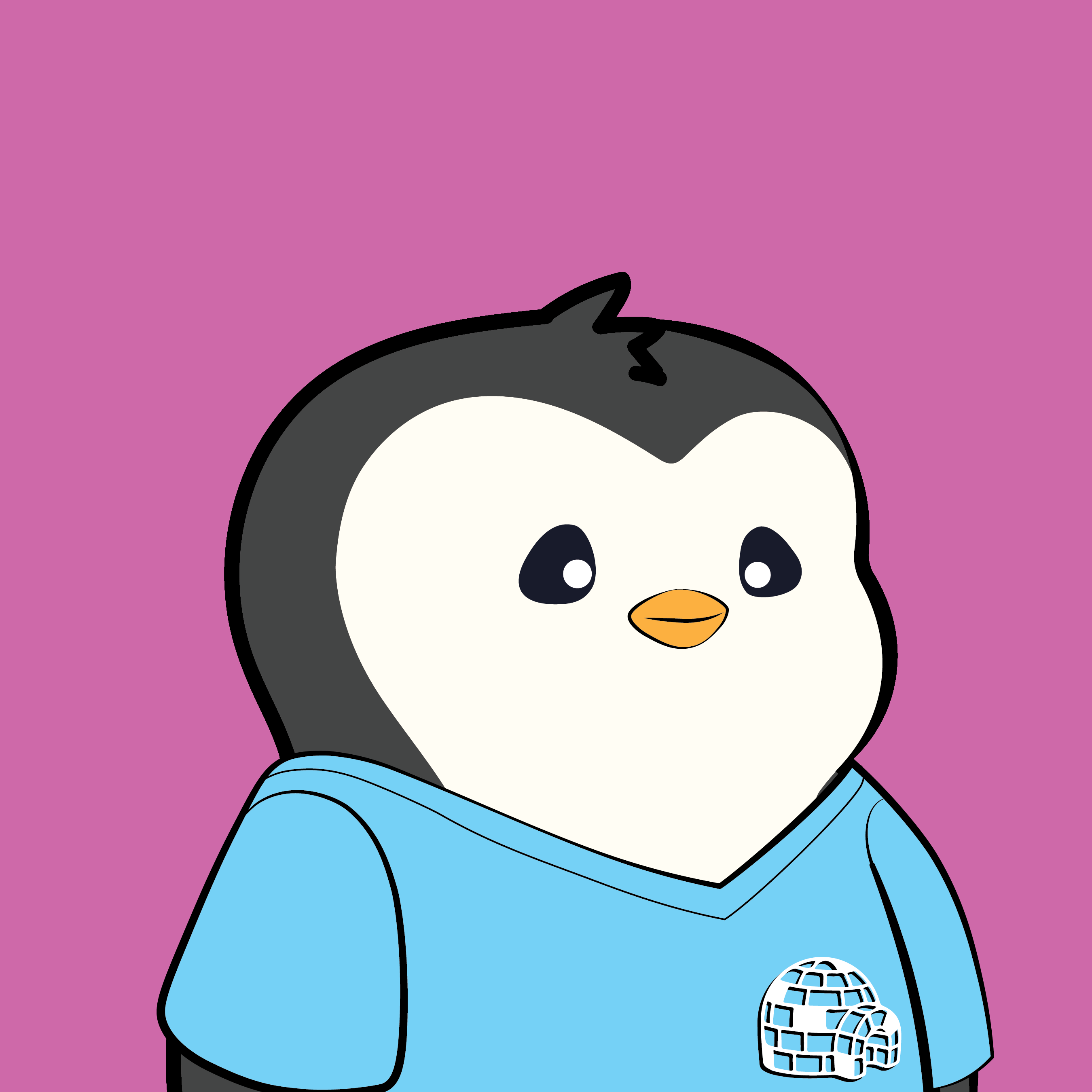 Pudgy #1596