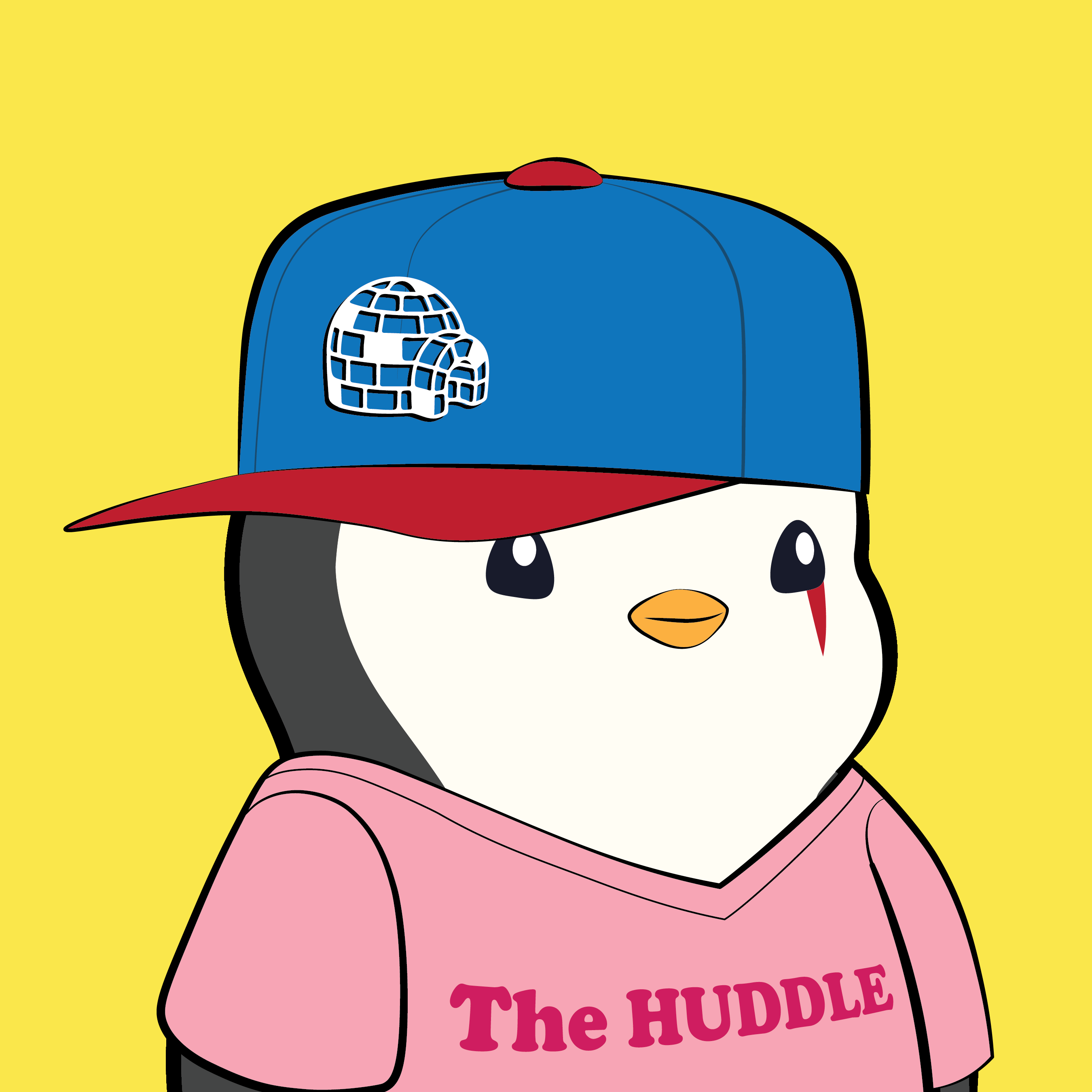 Pudgy #6896