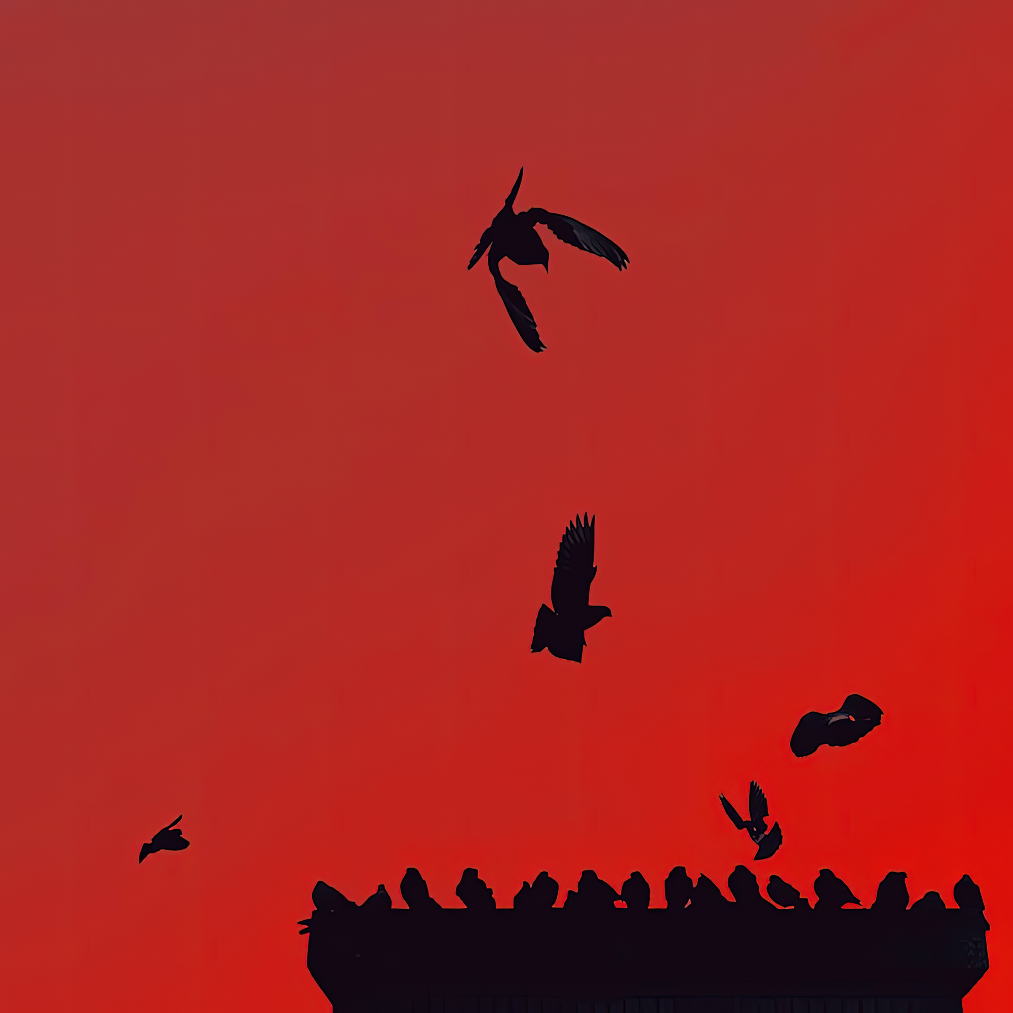 Migrating Has No Beginning