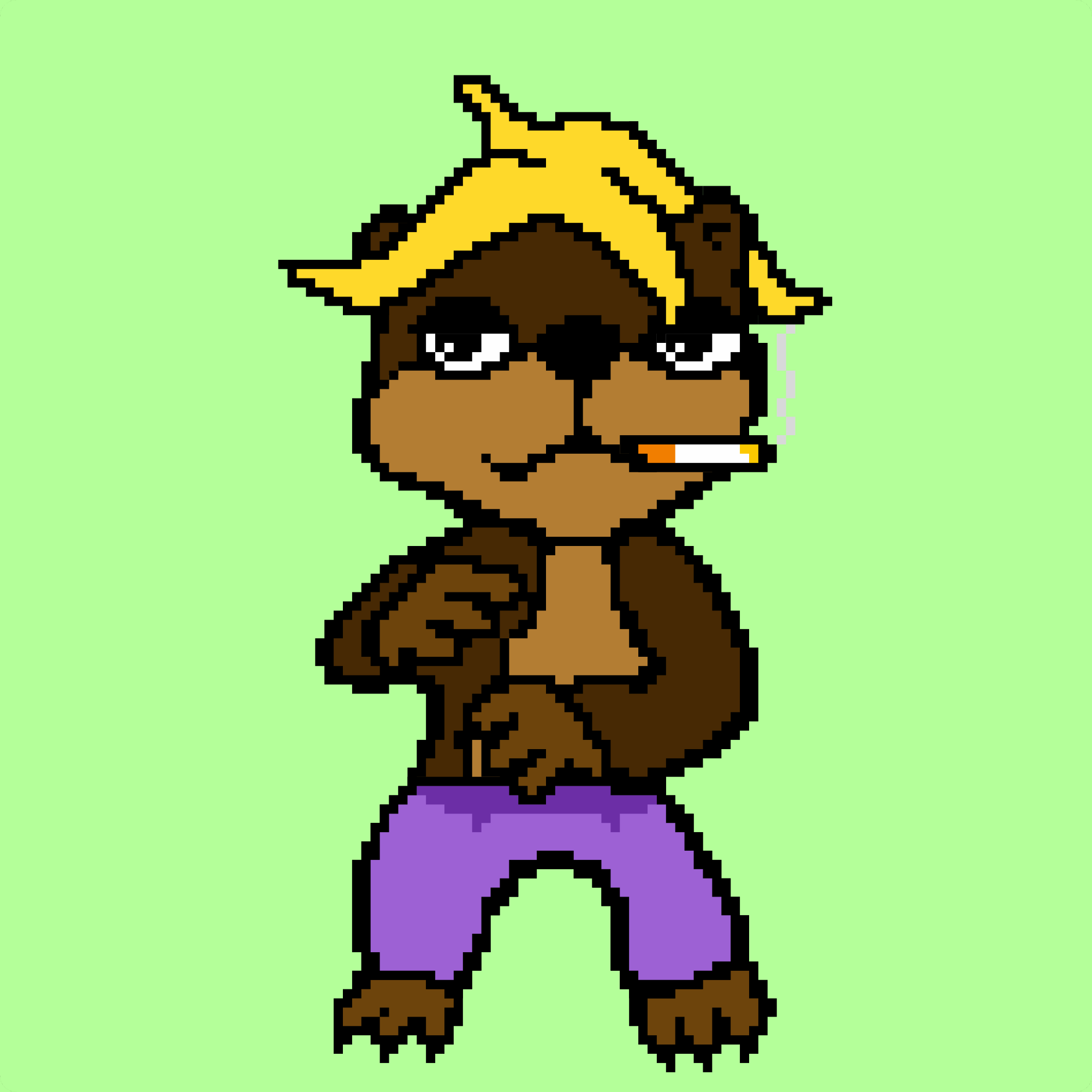 Combat Wombat NFTs #3029