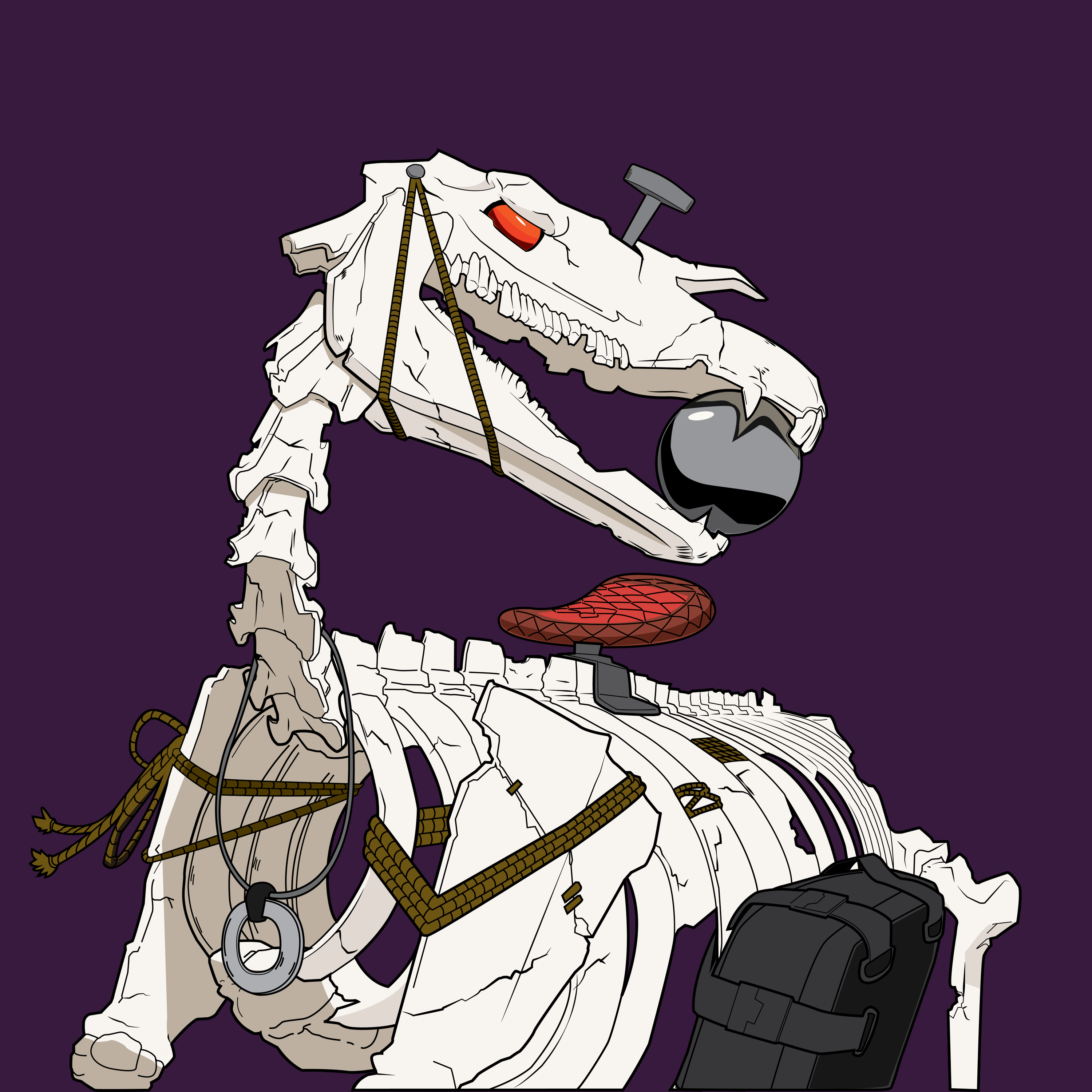 Wicked Stallion #907