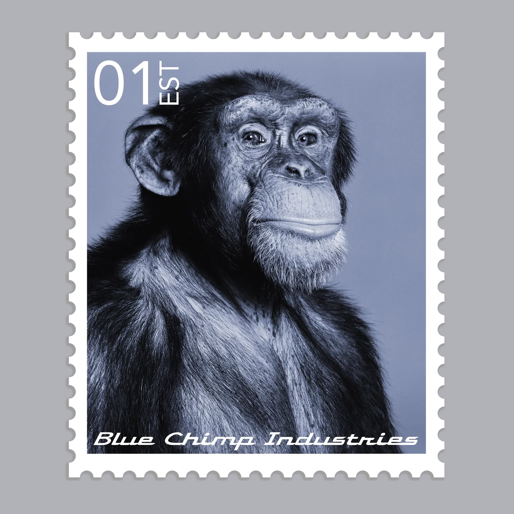 Blue Chimp® Stamp #97/119