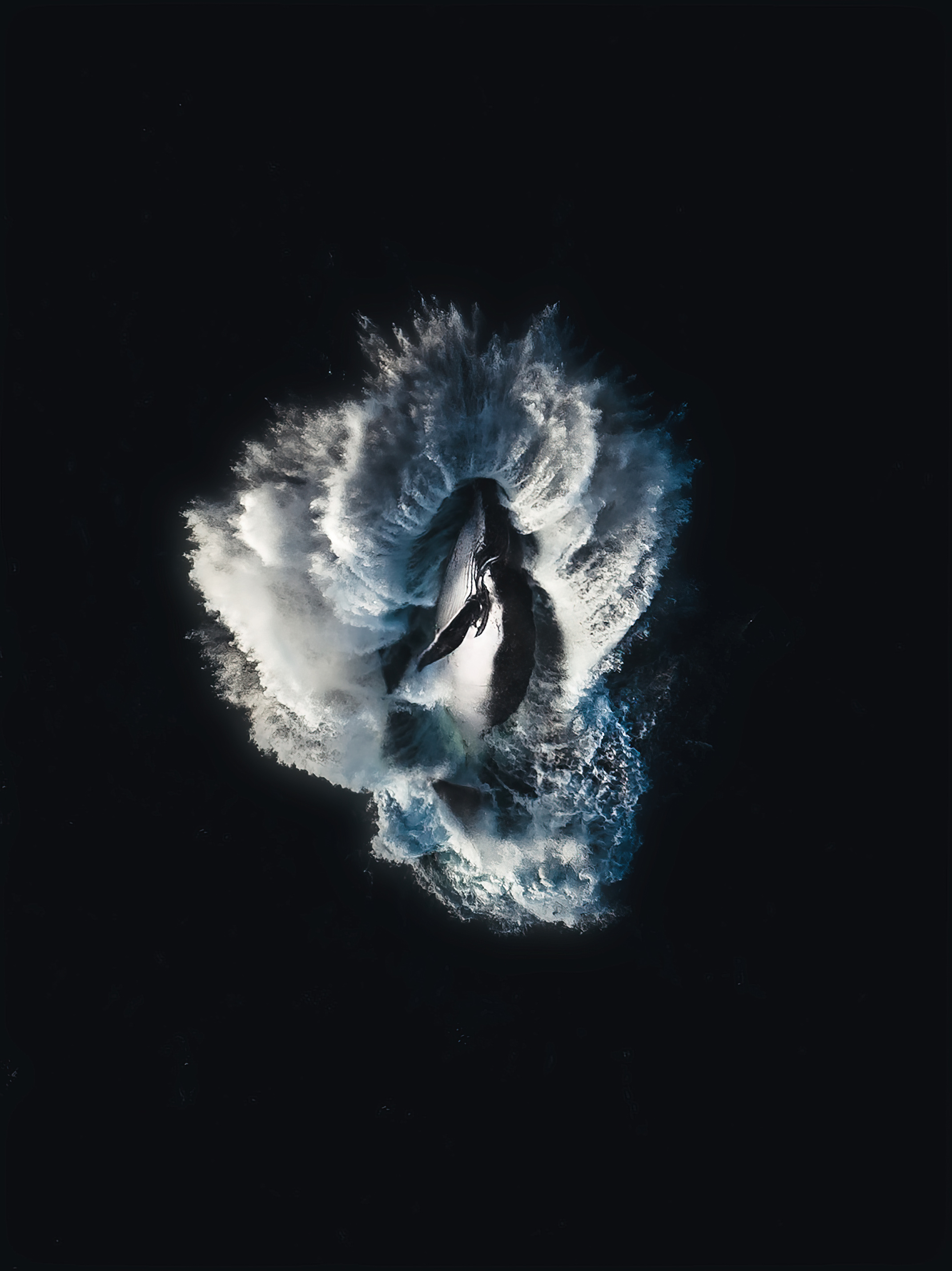 GRAVITY: TIMMBOSLICE