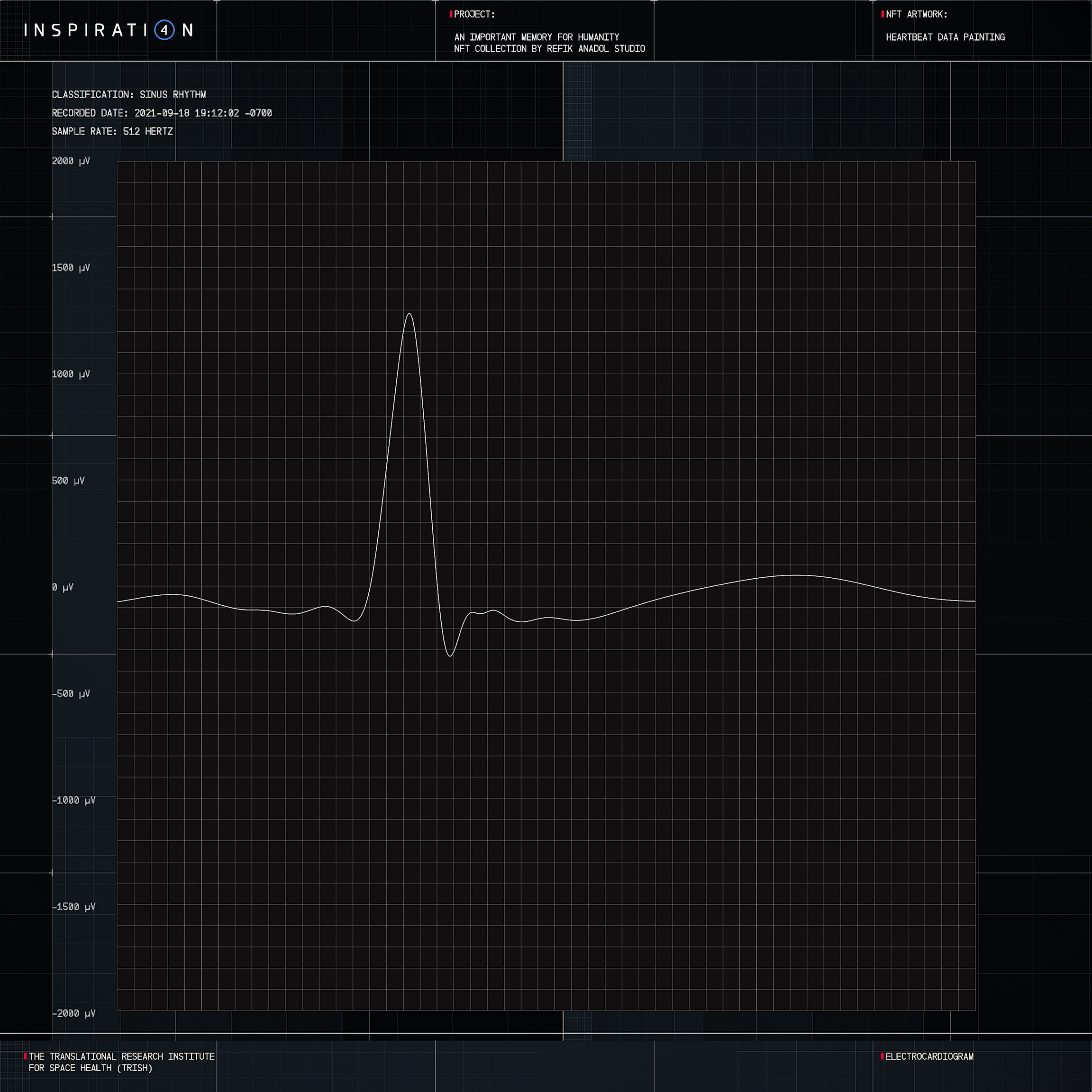 HEARTBEAT DATA PAINTING #913