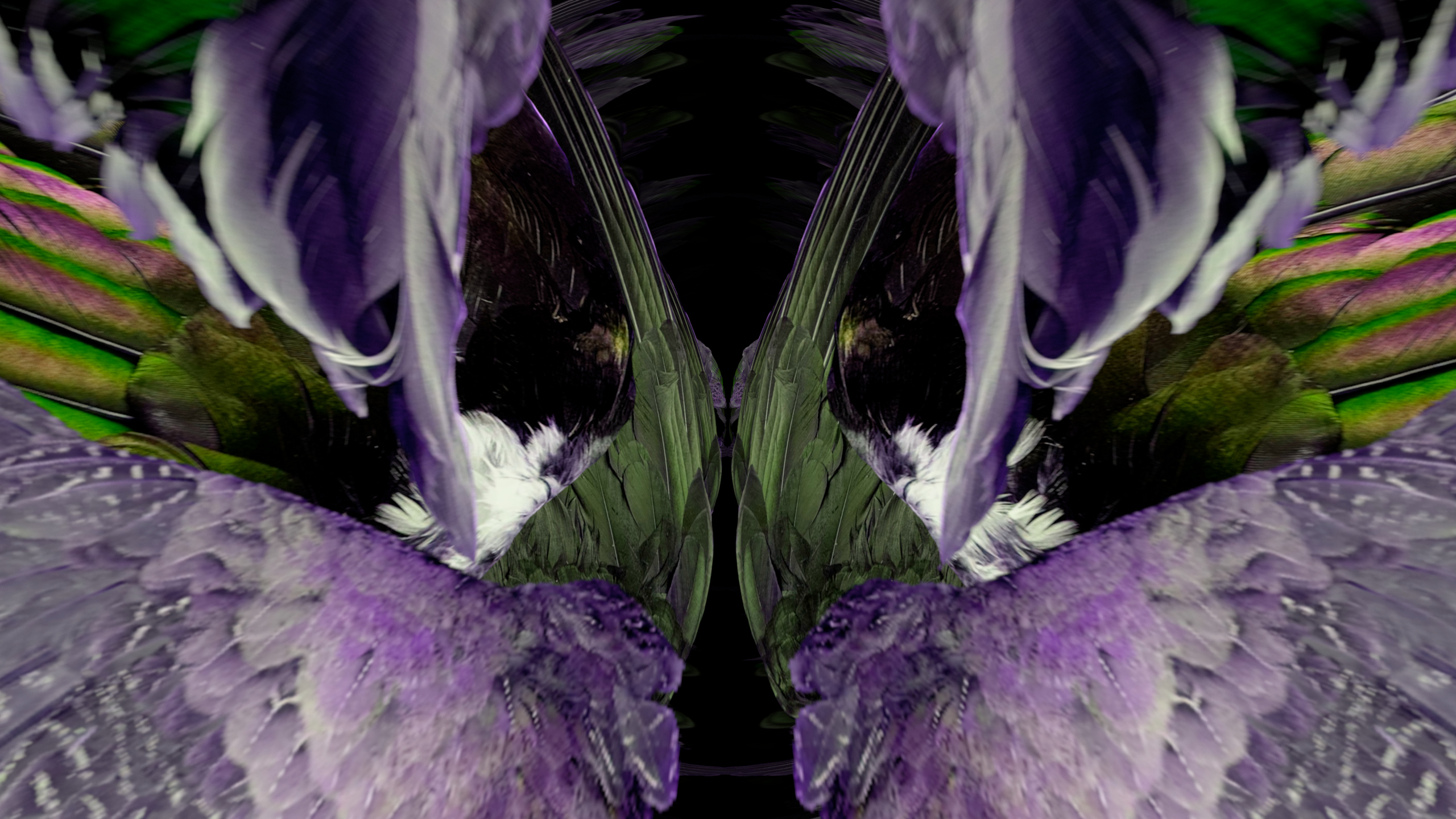 Fuga delle Sirene XCII