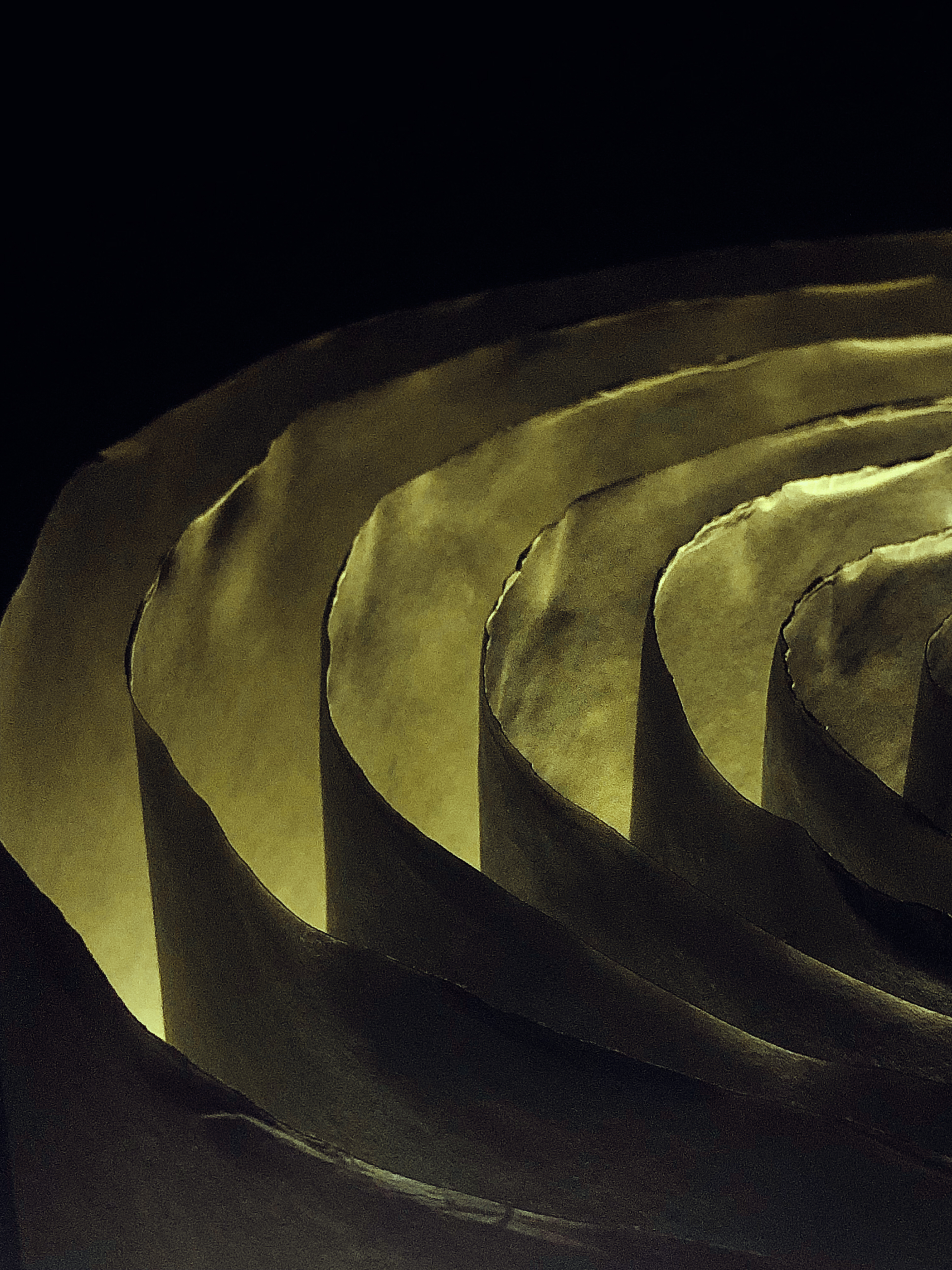 CS Community Collection #70