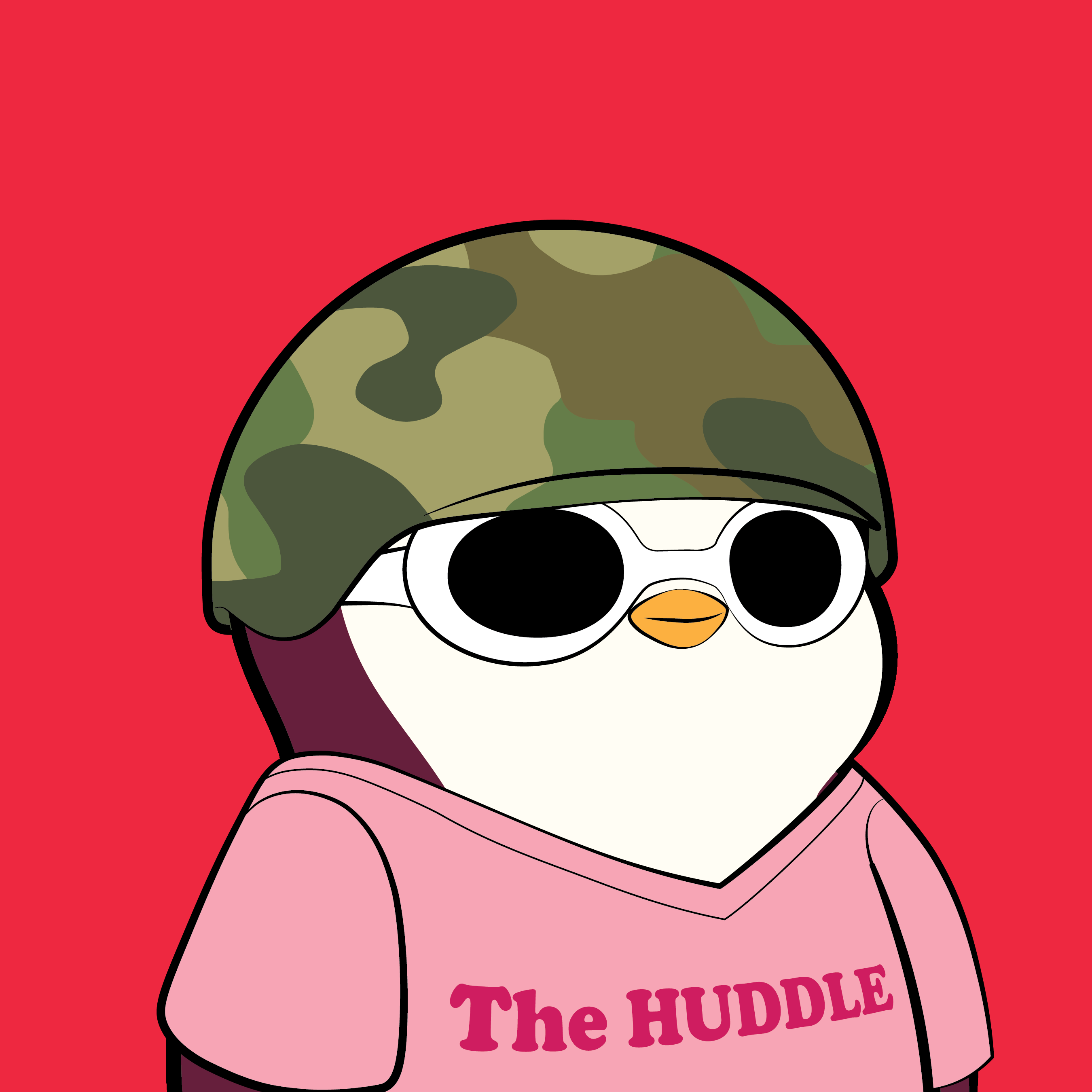 Pudgy Penguin #781