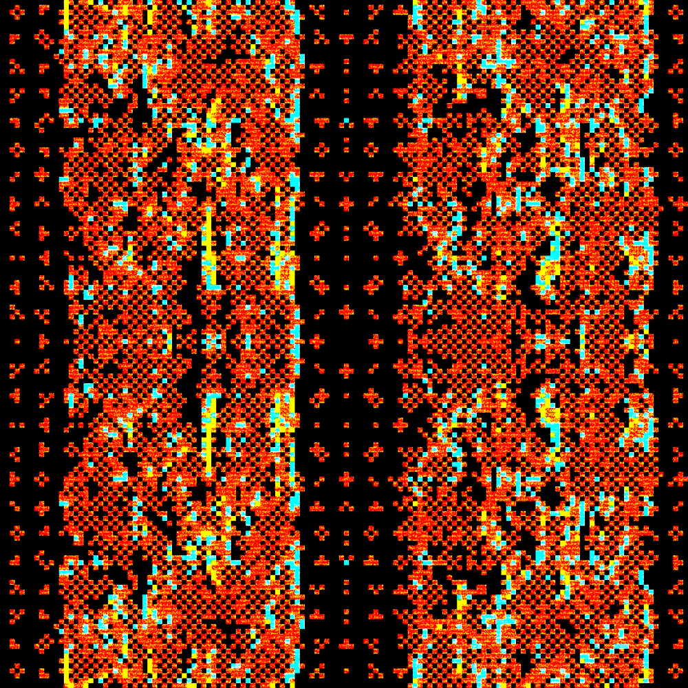 collage image-1 for the collection