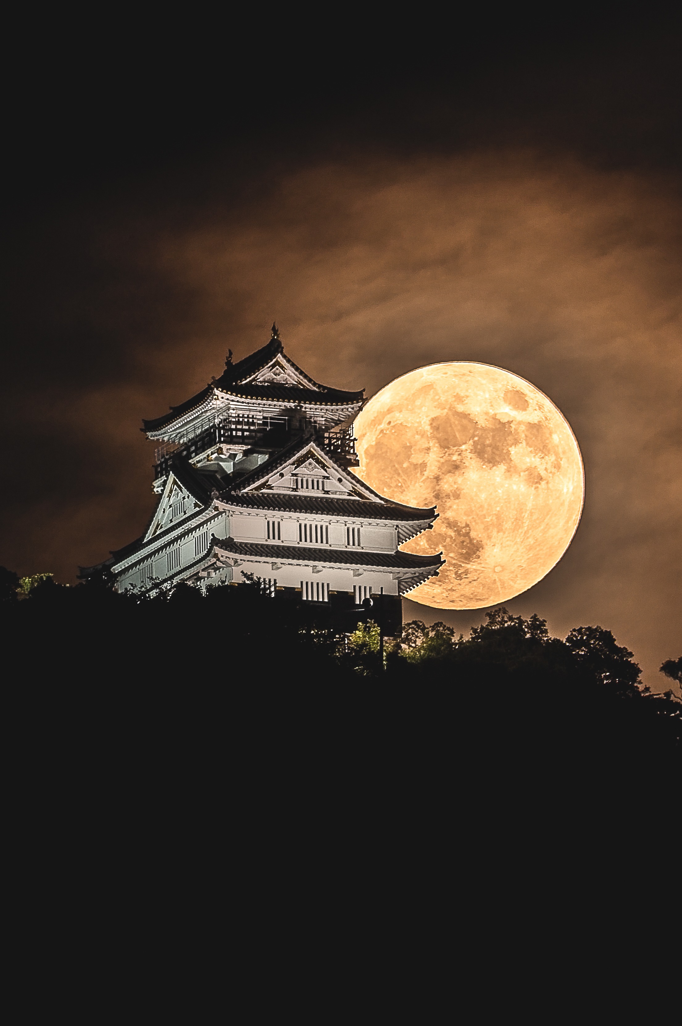 Night of Moon Castle Japan
