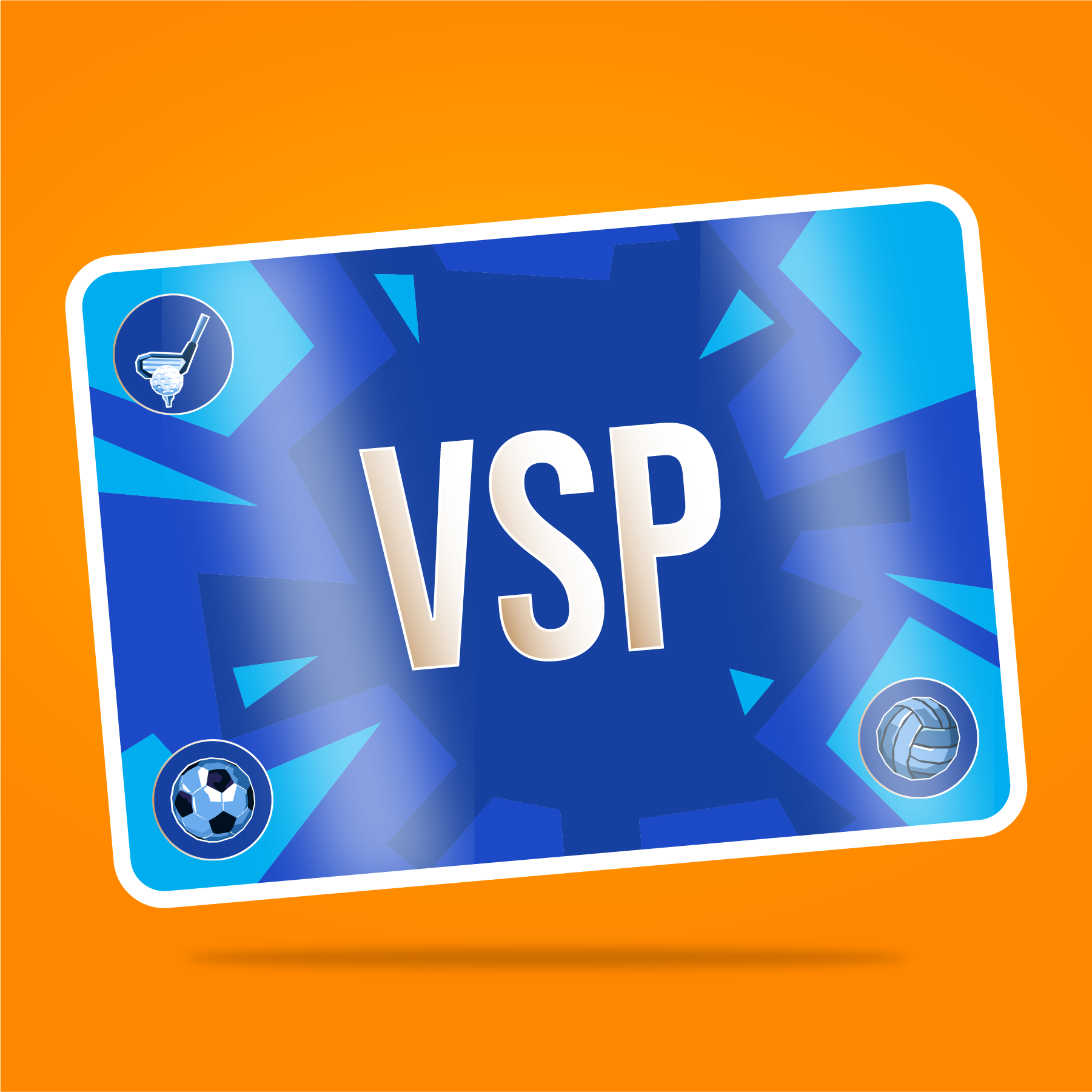 VaynerSports Pass #13314