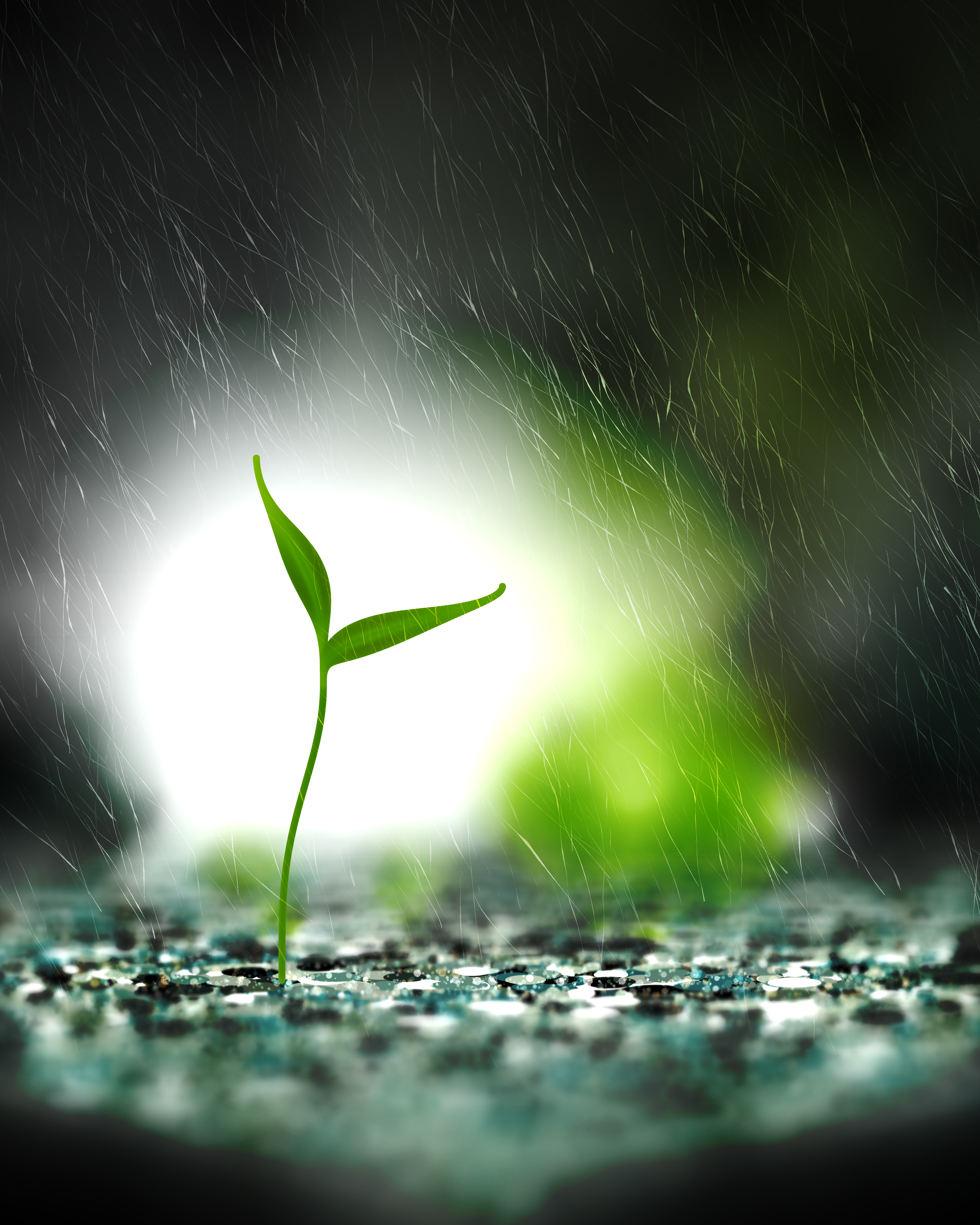 Take Root #9