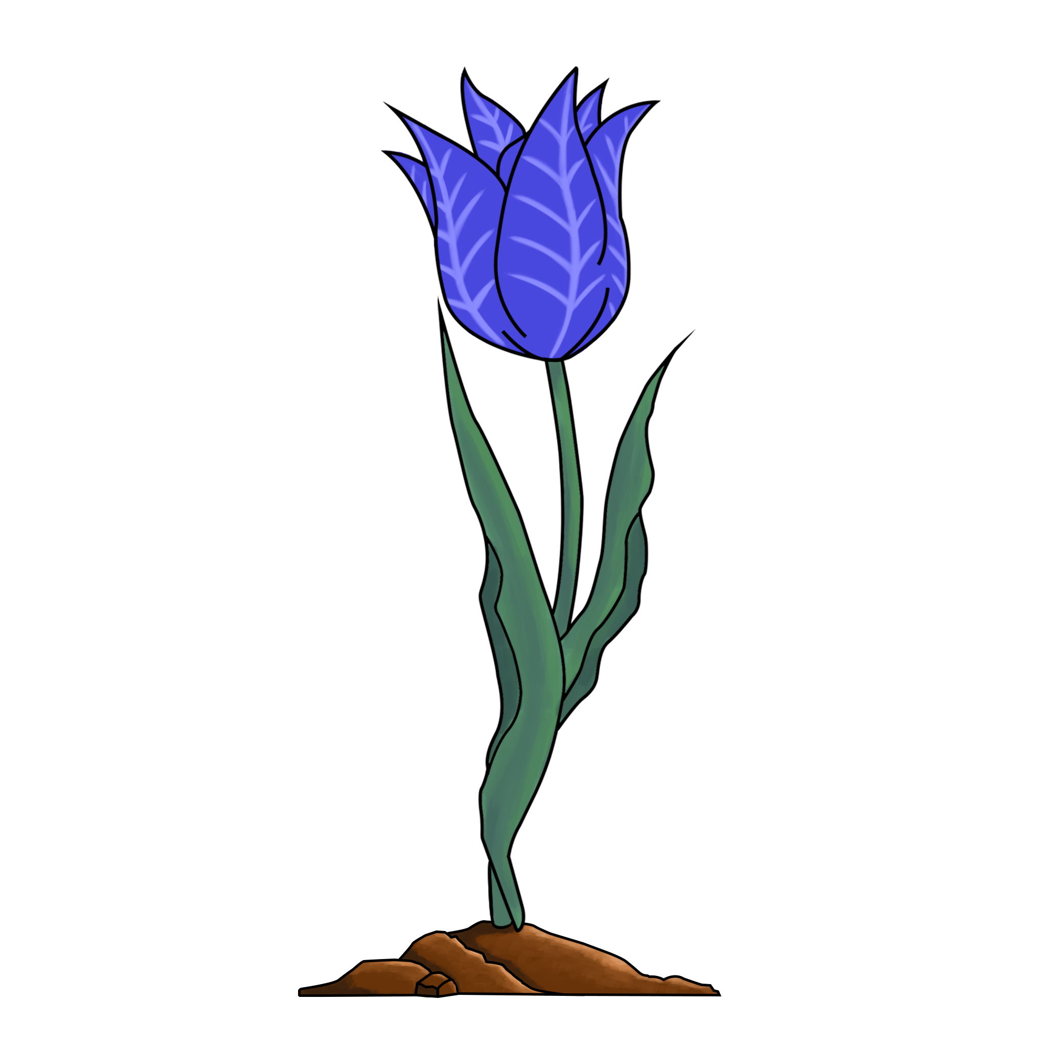 EtherTulip #71