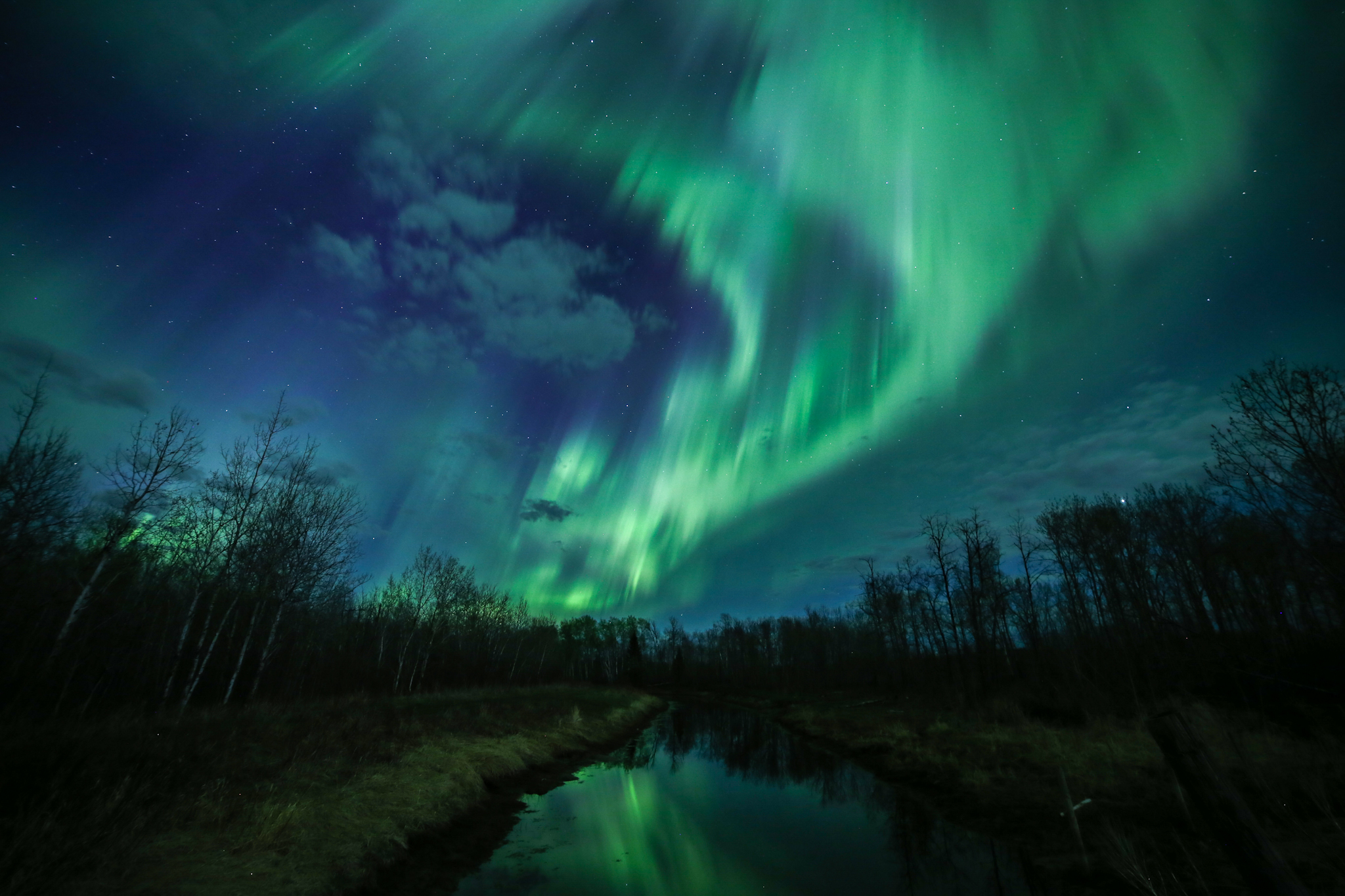 Boreal Dreams: Spirit