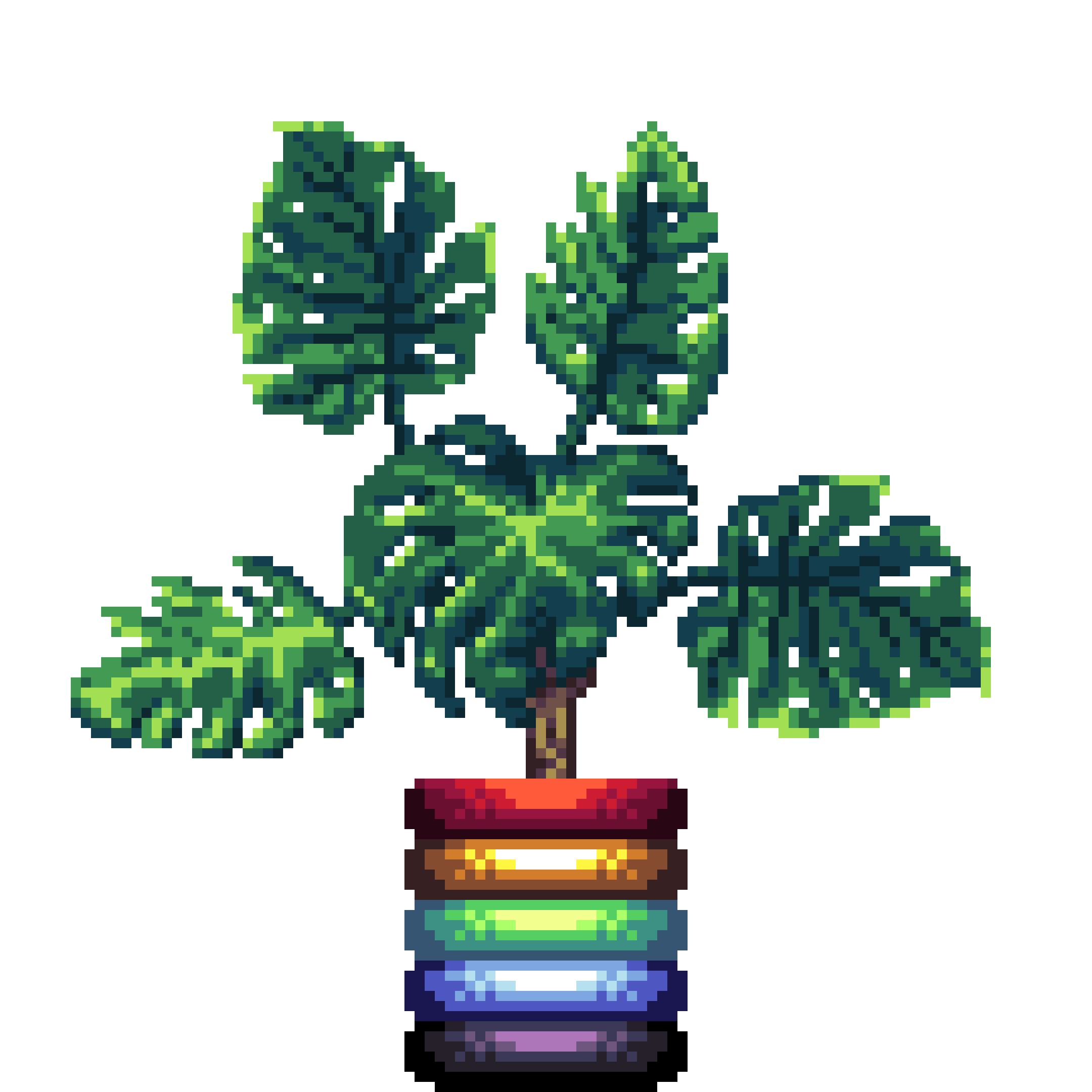 Monstera in Rainbow Rings pot