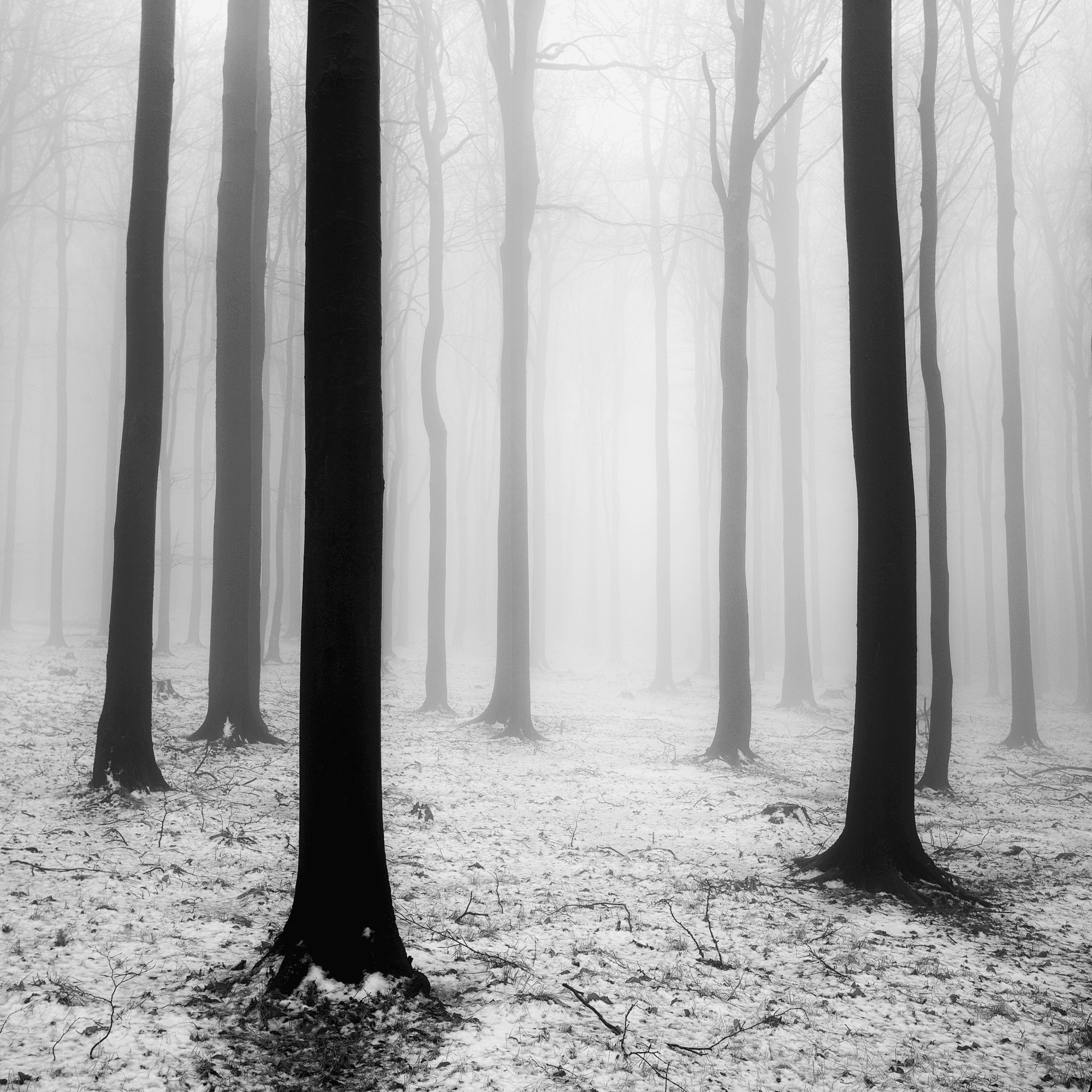 Sound of Silence #31