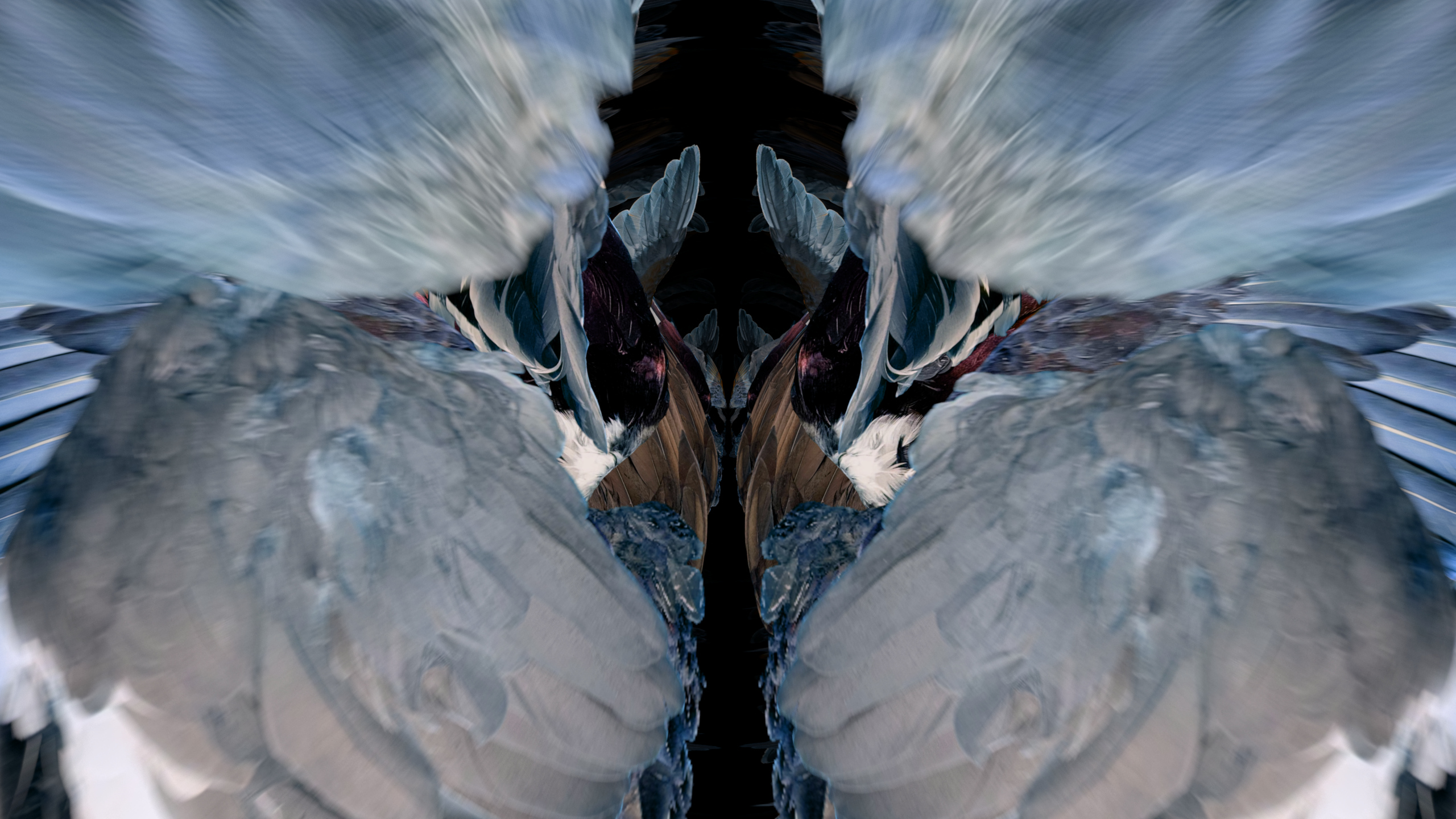 Fuga delle Sirene XXIX