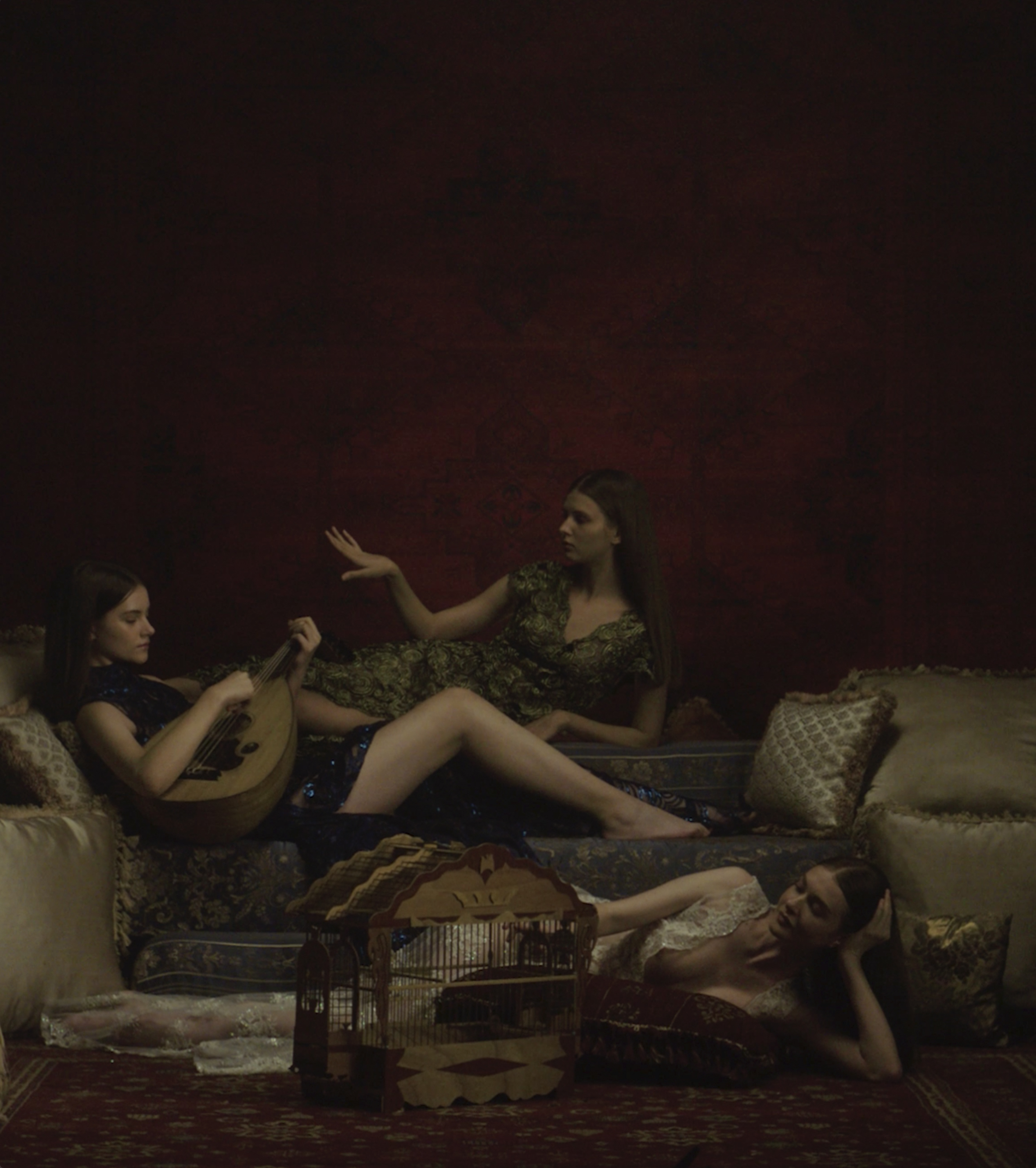 Harmony and Visual Feast 