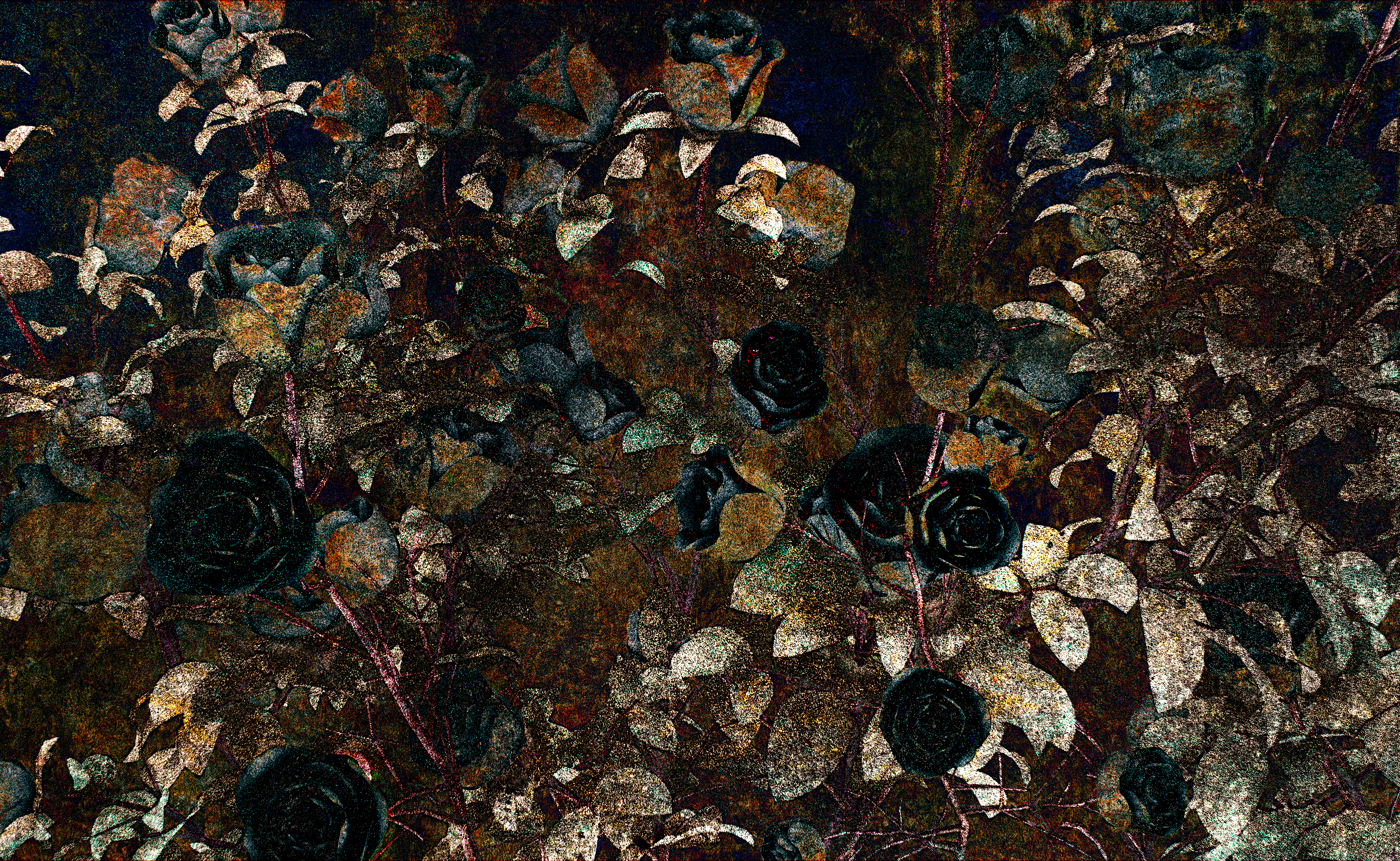 kissed by the Moonlight