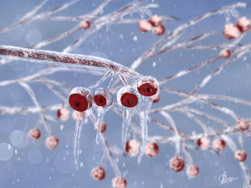 Frozen Winter Berries