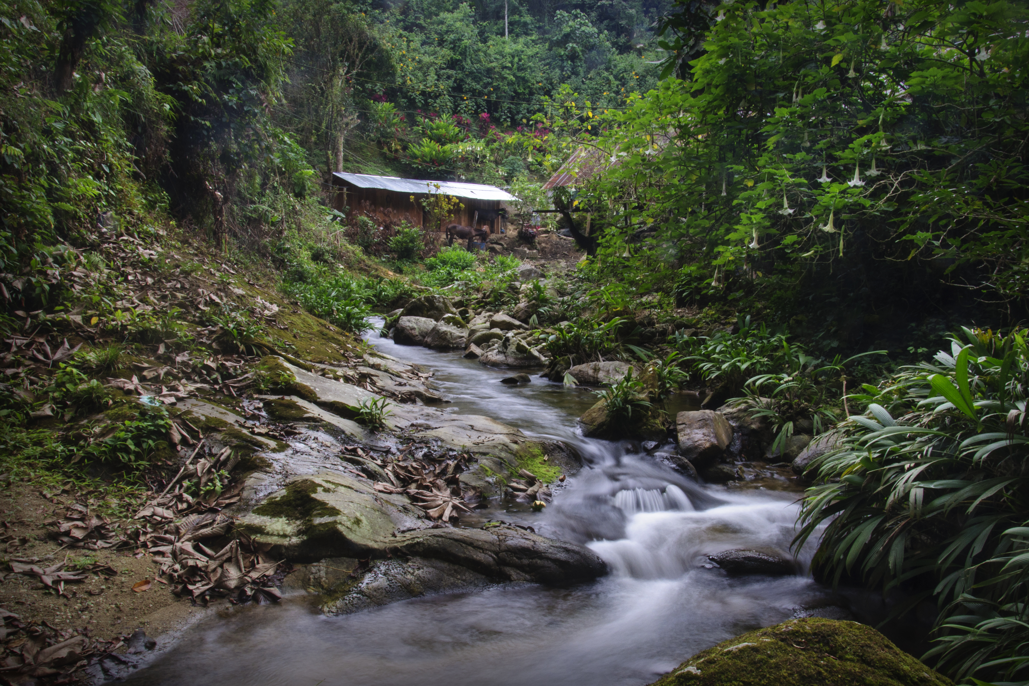 A Picture in Time #24