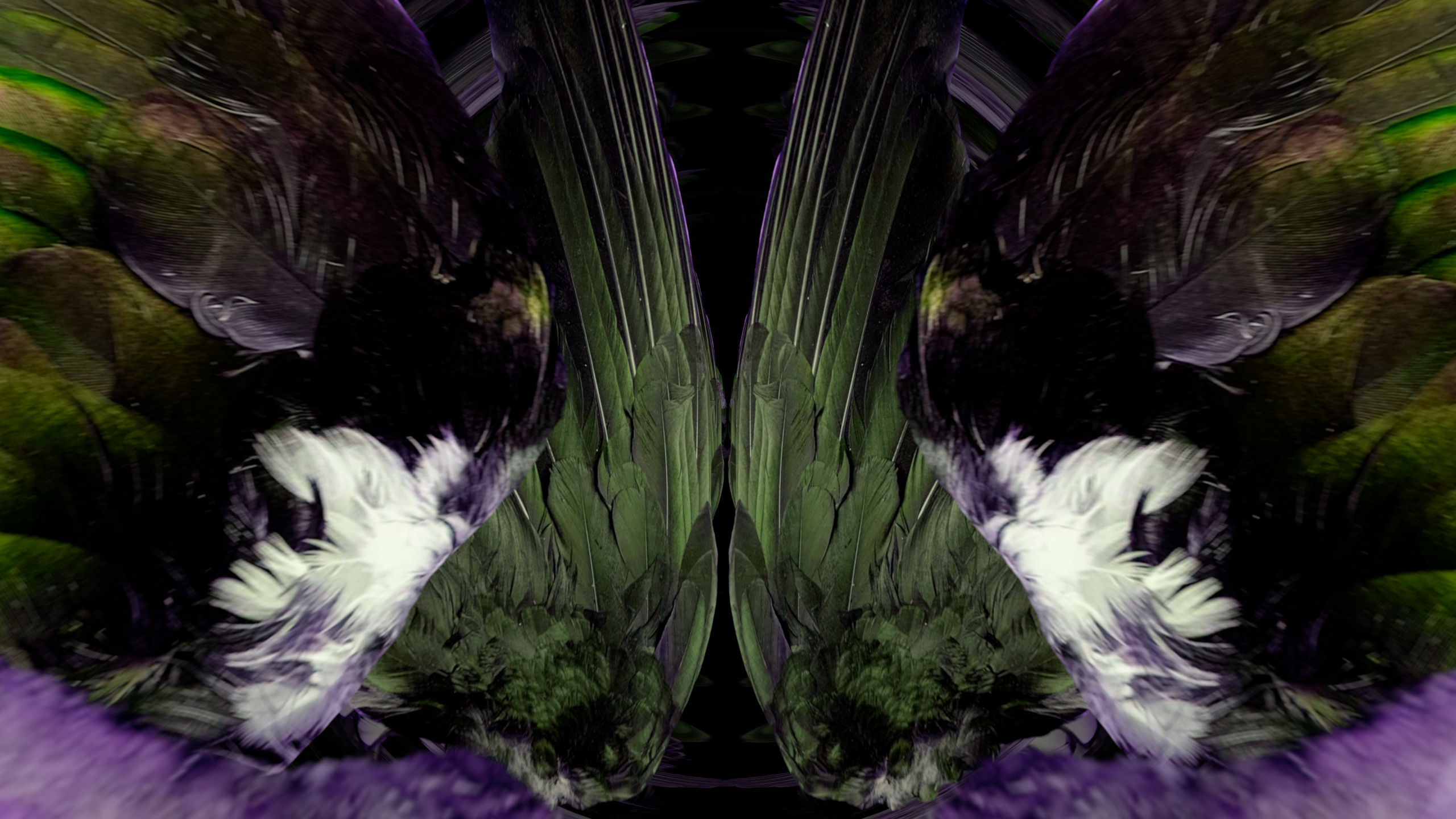 Fuga delle Sirene XCIV