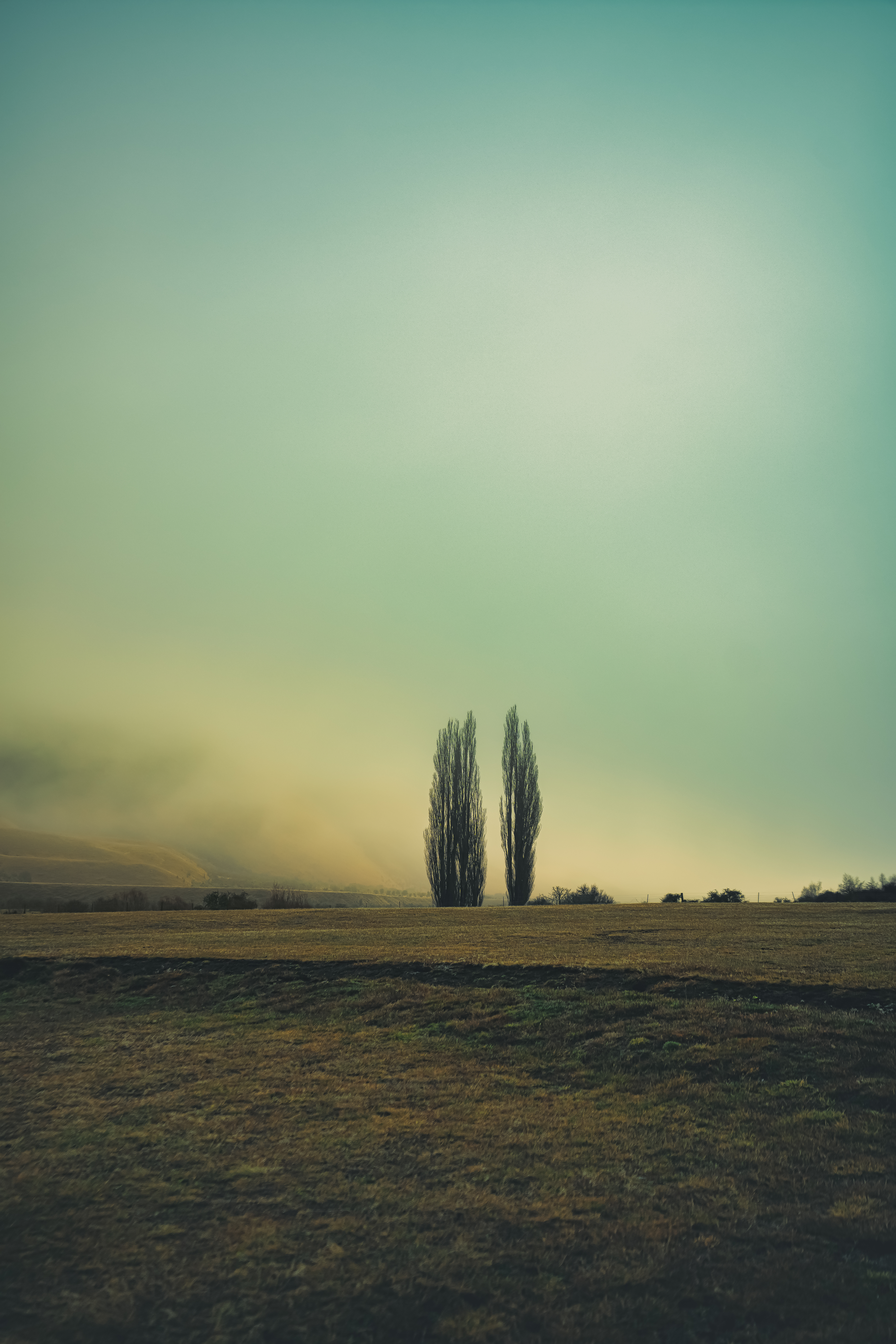 Where Silence Stands