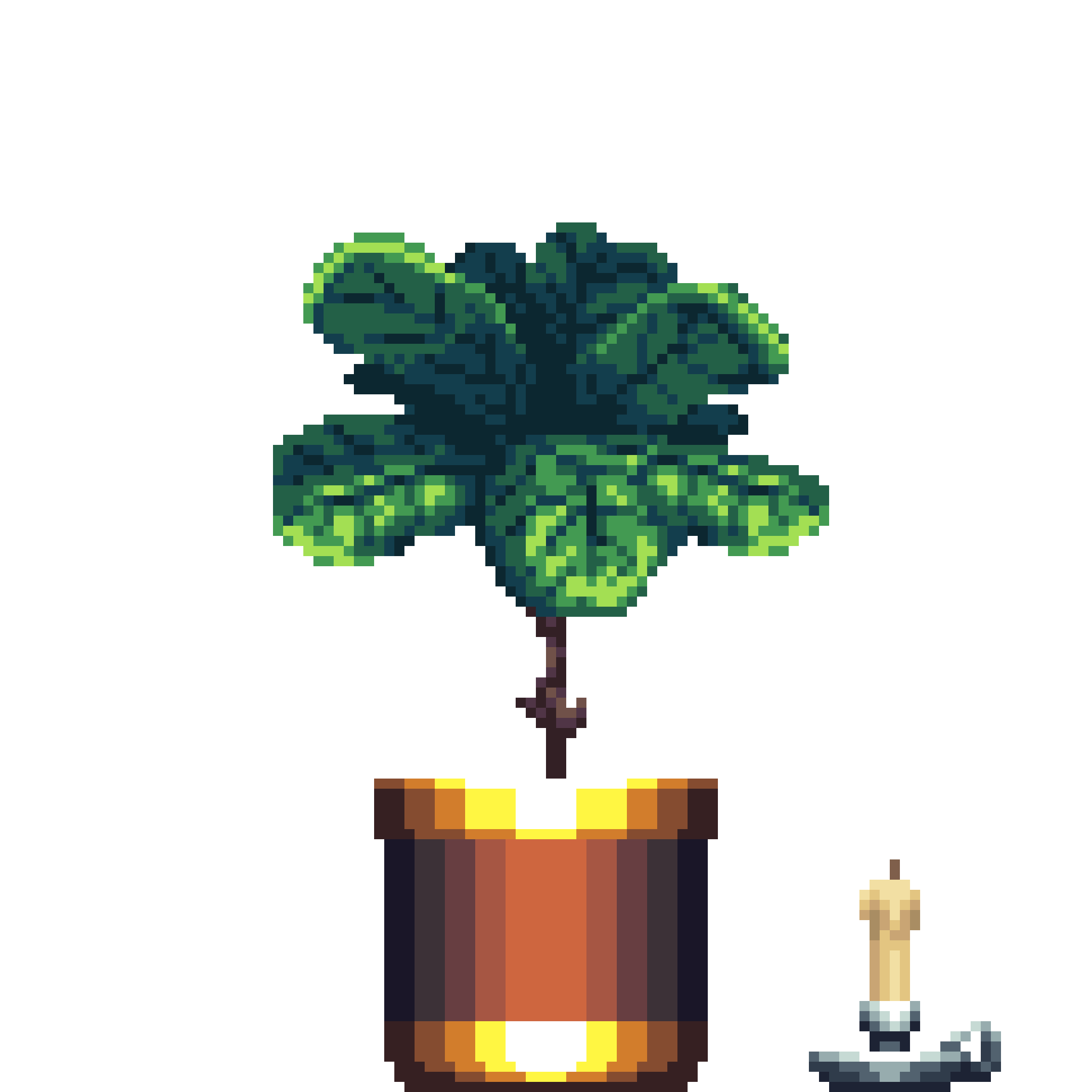 Fiddle-Leaf Fig in Large Dual Tone pot with Candle