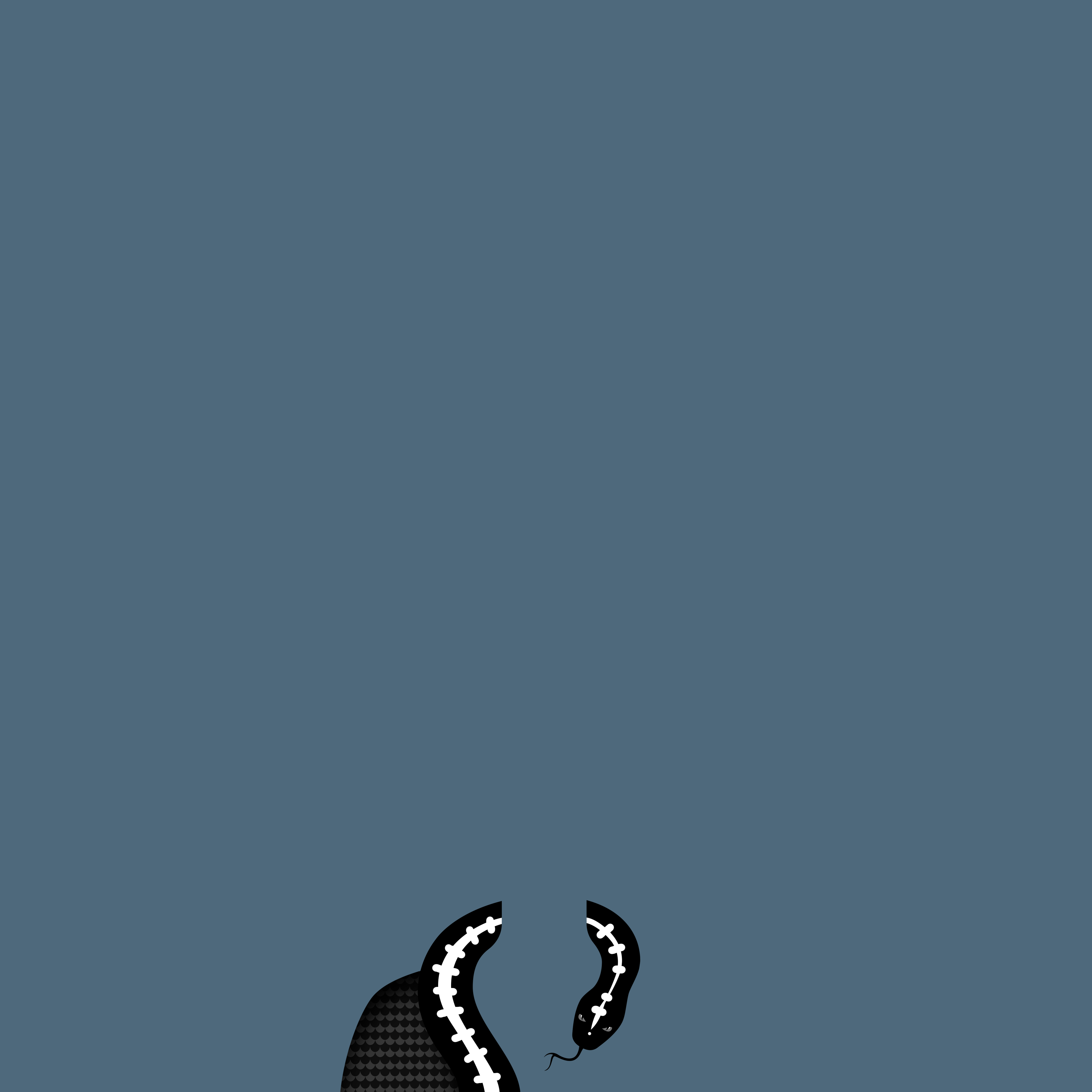 Cleo's Asp