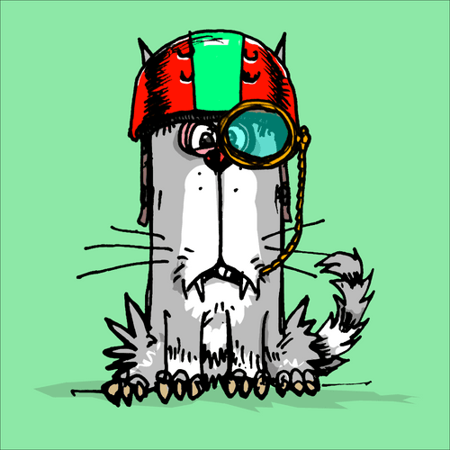 My Scruffy Cat 1038