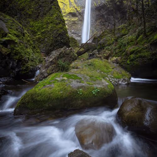 'Signs of Life' - Special Edition Airdrop #1