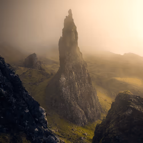 Wilderness to Blockchain #42 - Lost world