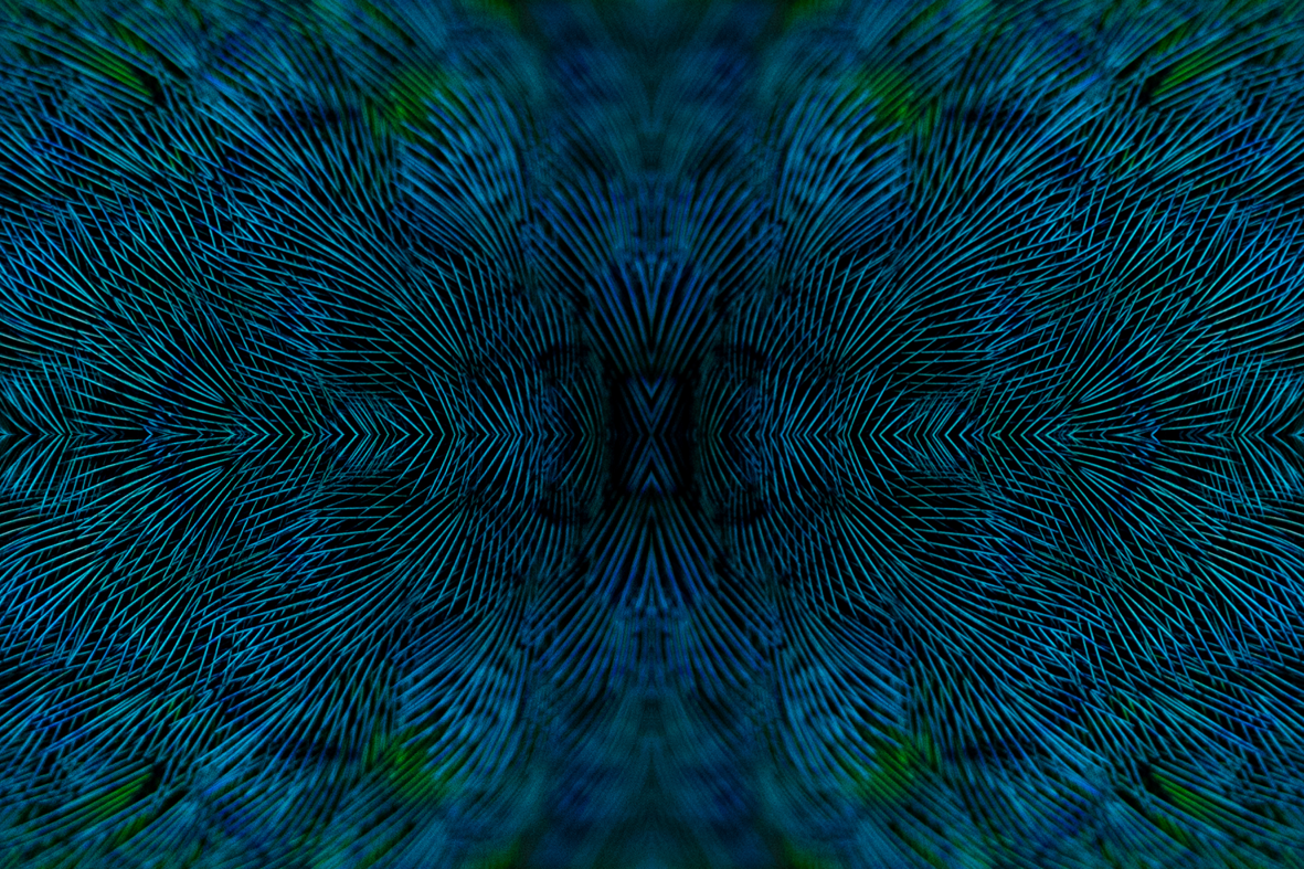 BB4