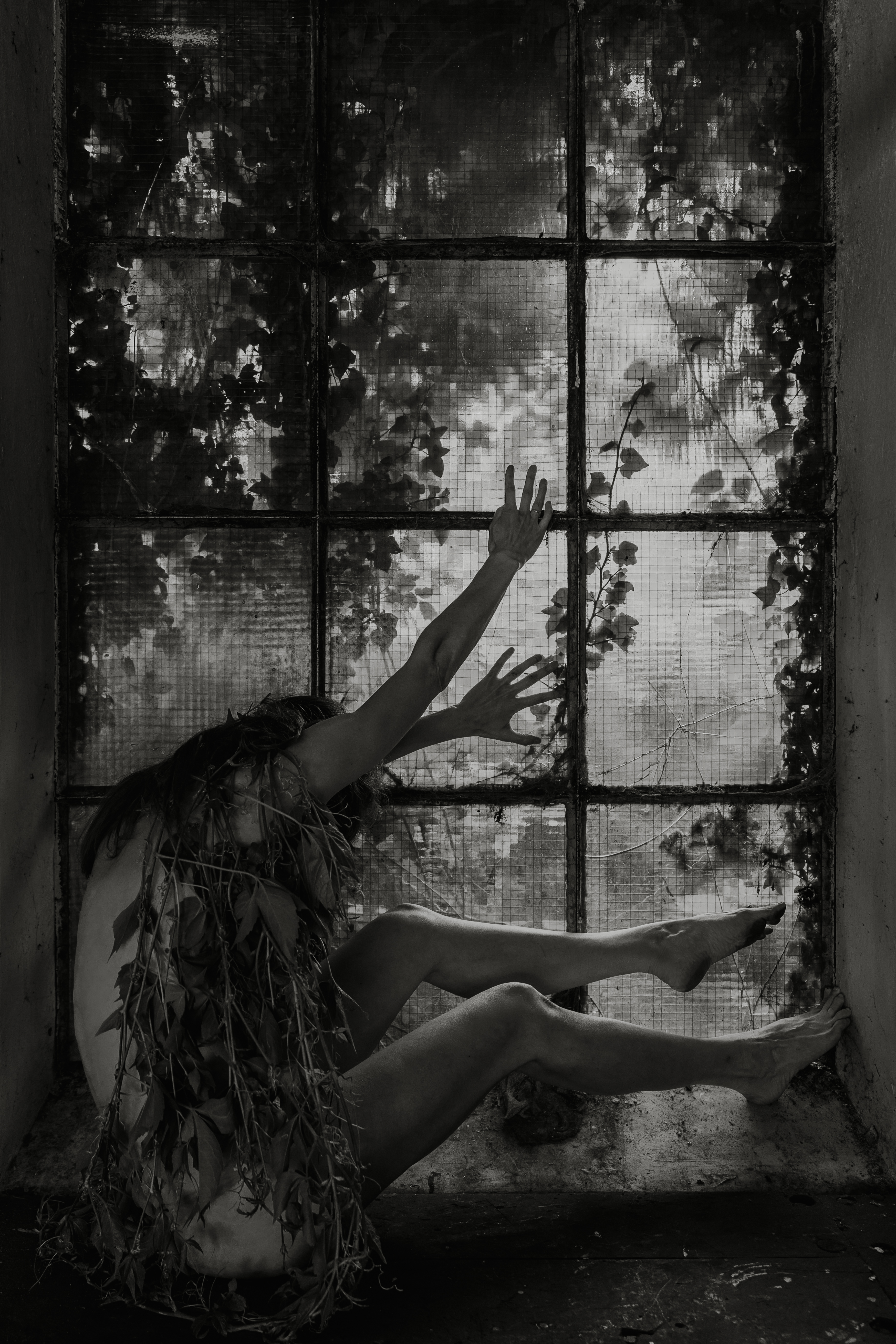 Nature's Remembrance 5