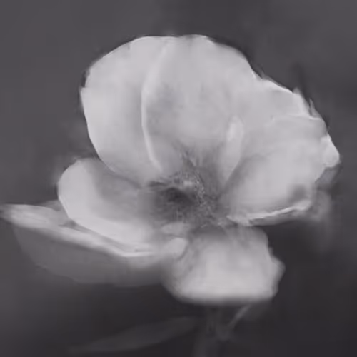 "I Was Never Here," 2025