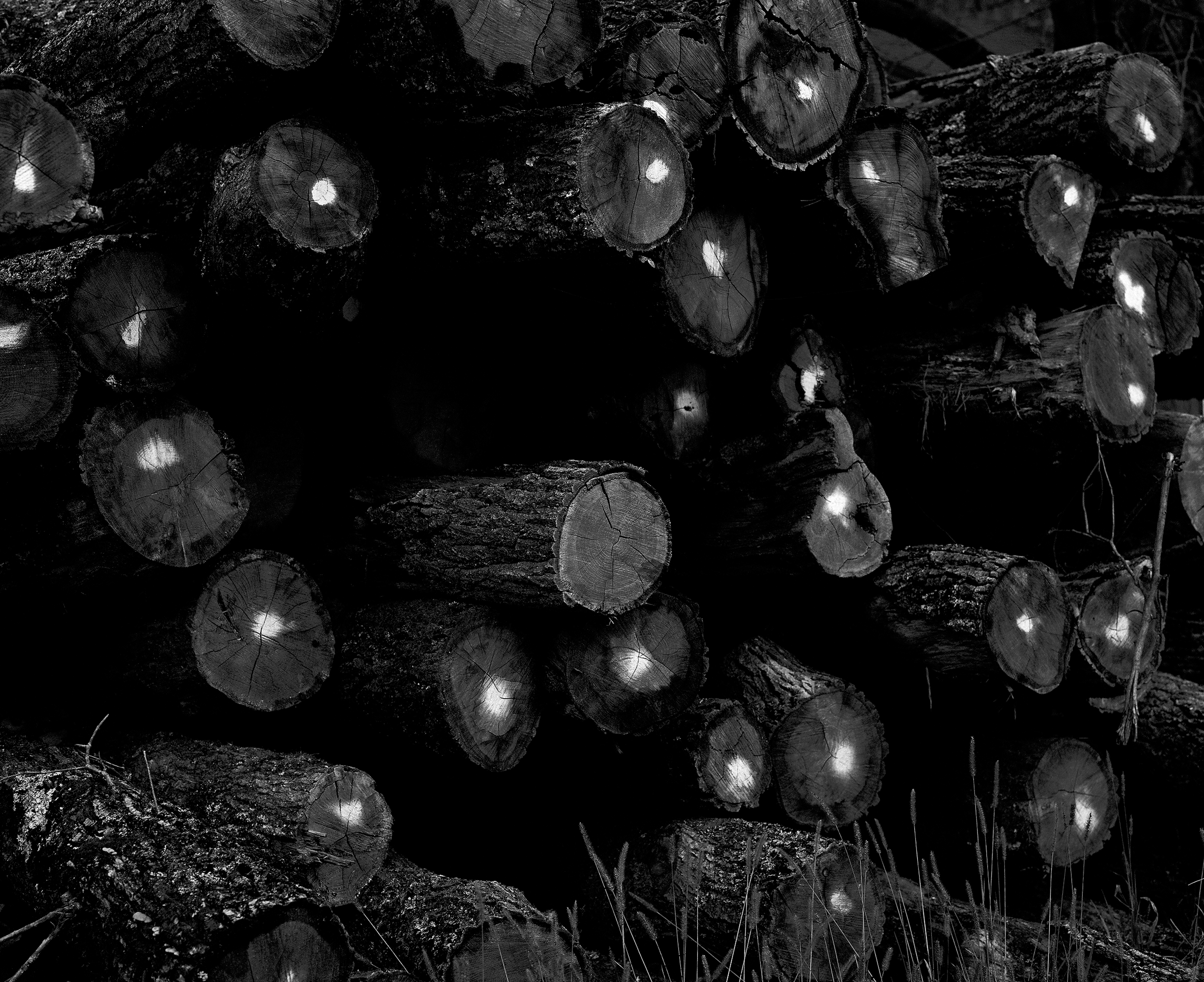 Tea Soaked Madeleines #17 by Josip Artuković