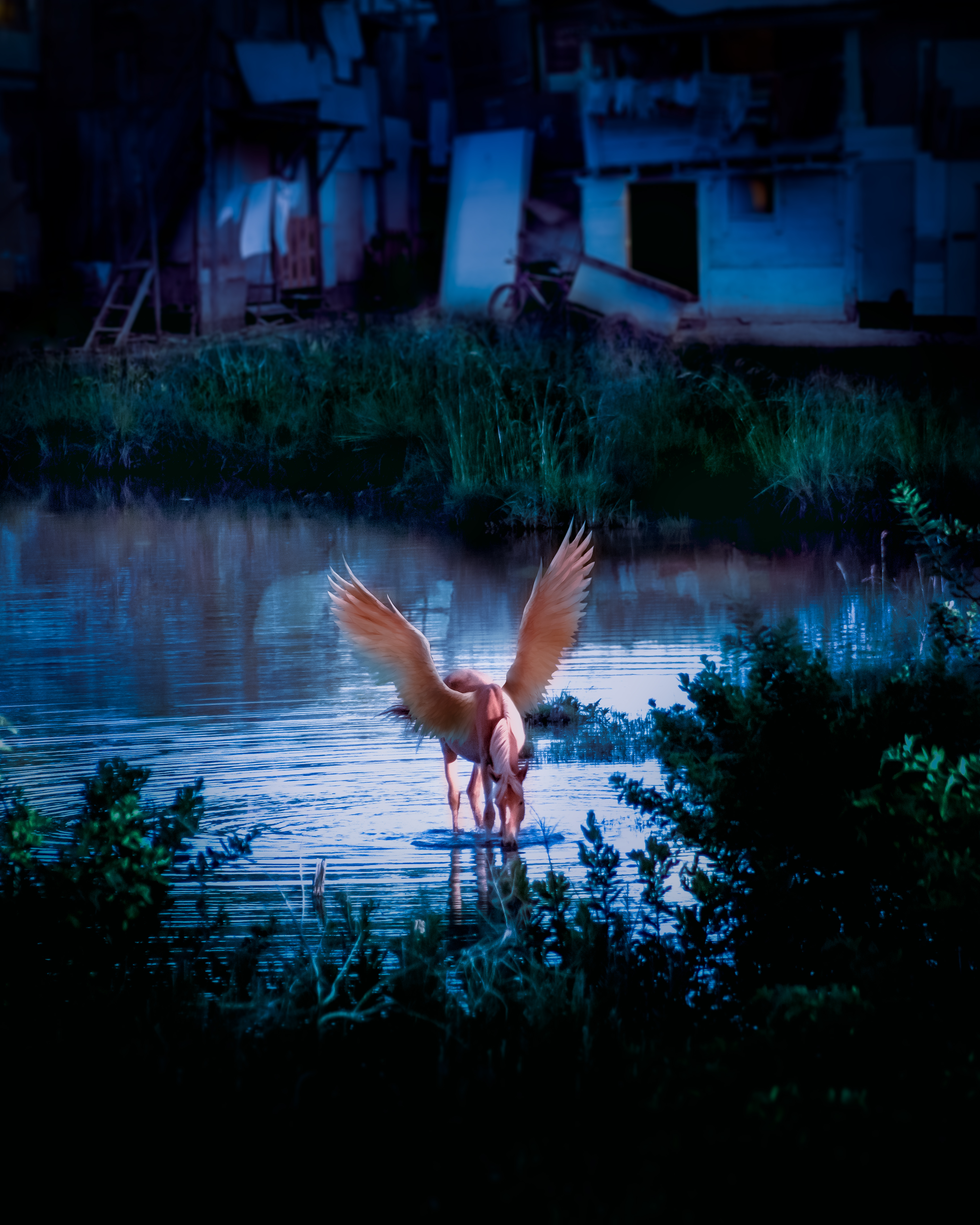 Pegasus