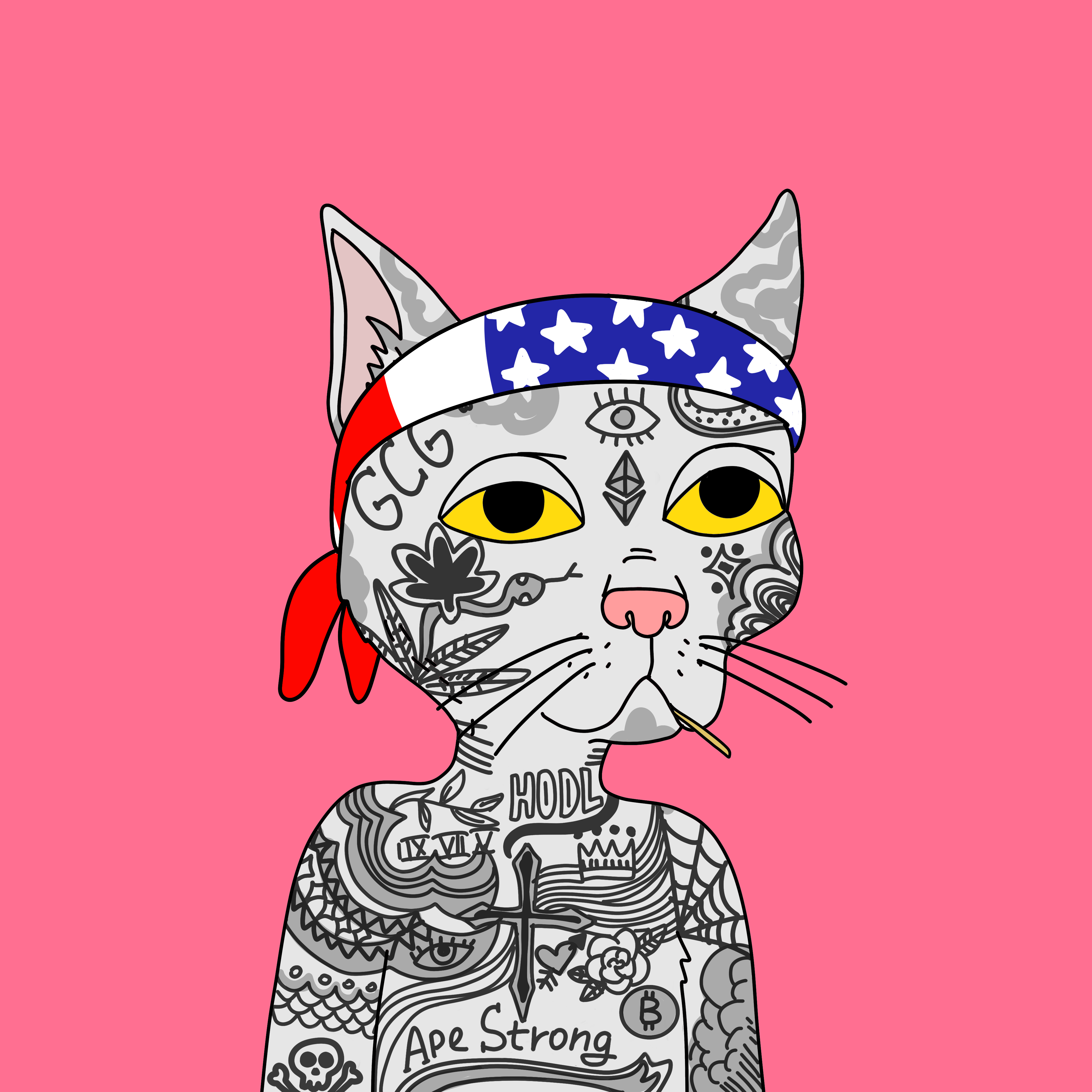 mavsben.eth Ethereum Name Service (ENS and .eth domain) PFP