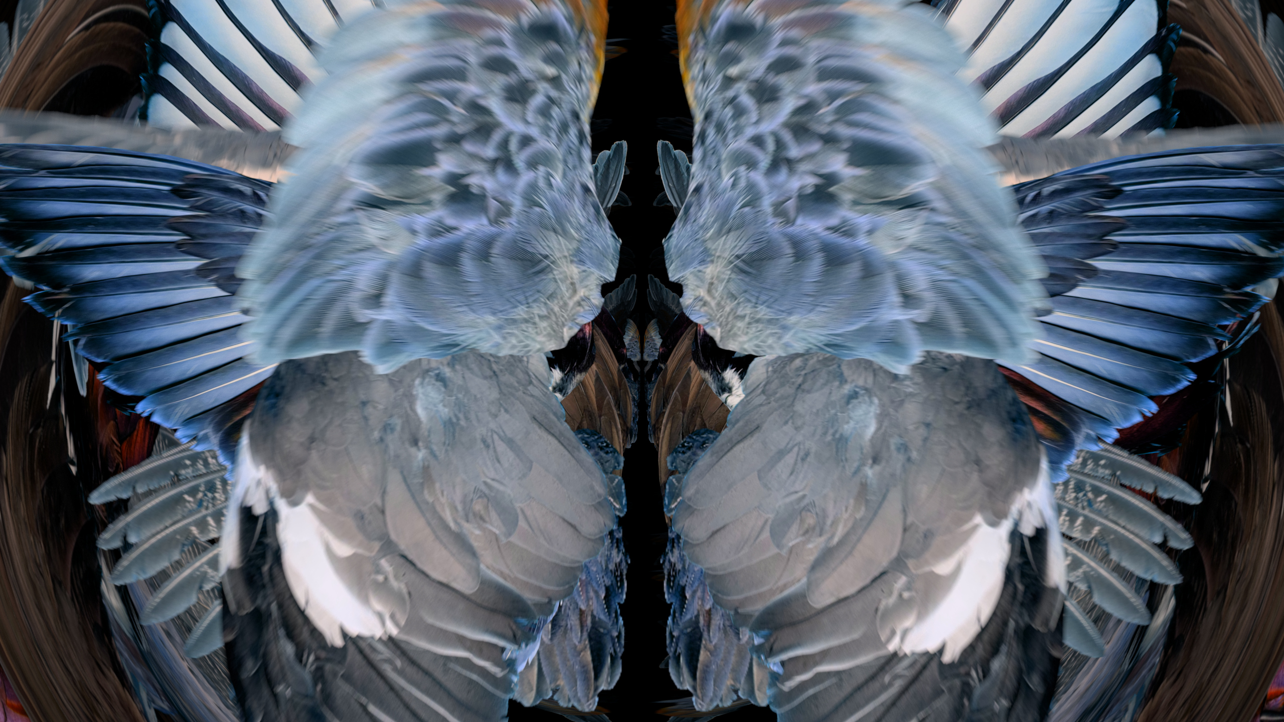 Fuga delle Sirene XXVIII