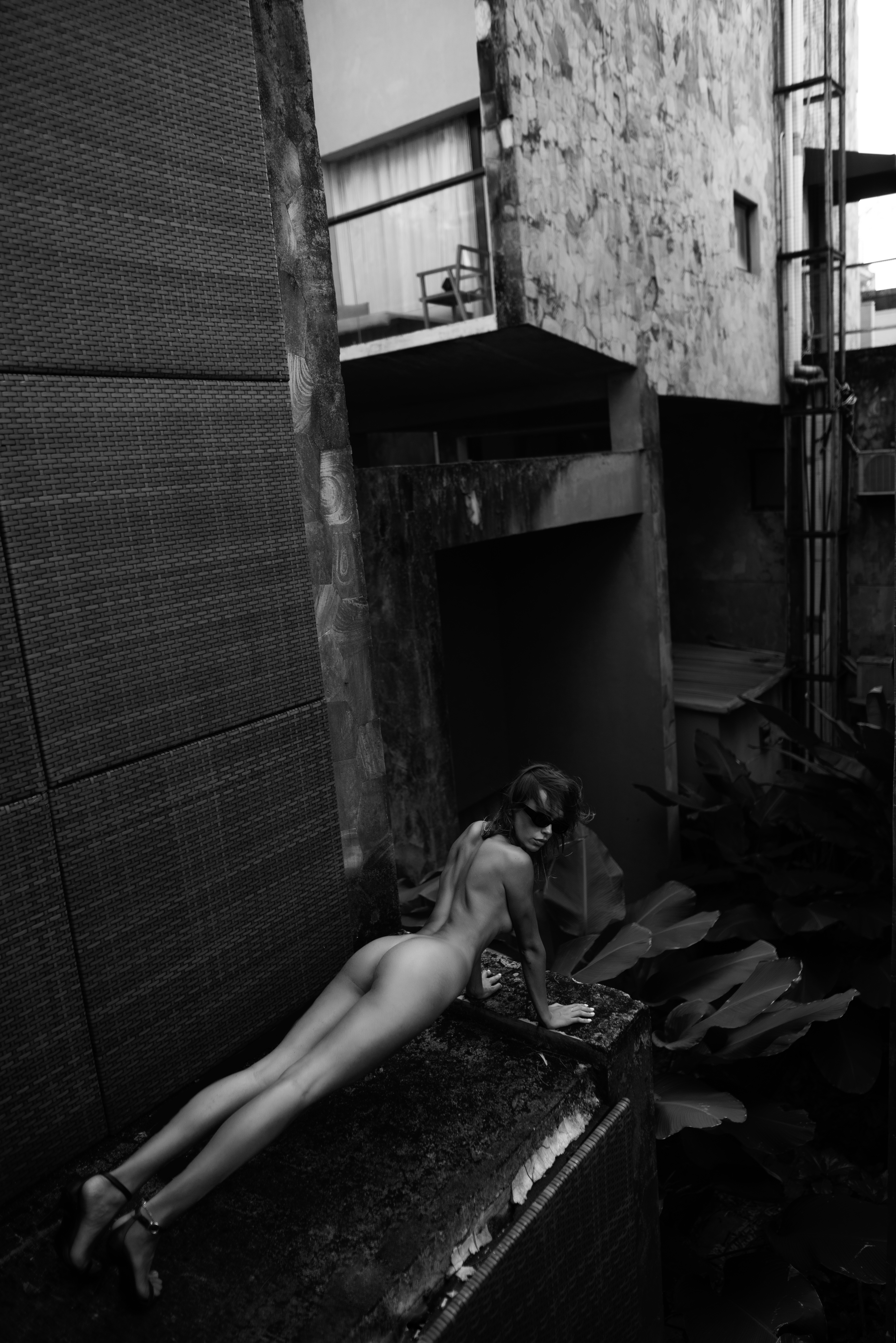 Welcome to the jungle