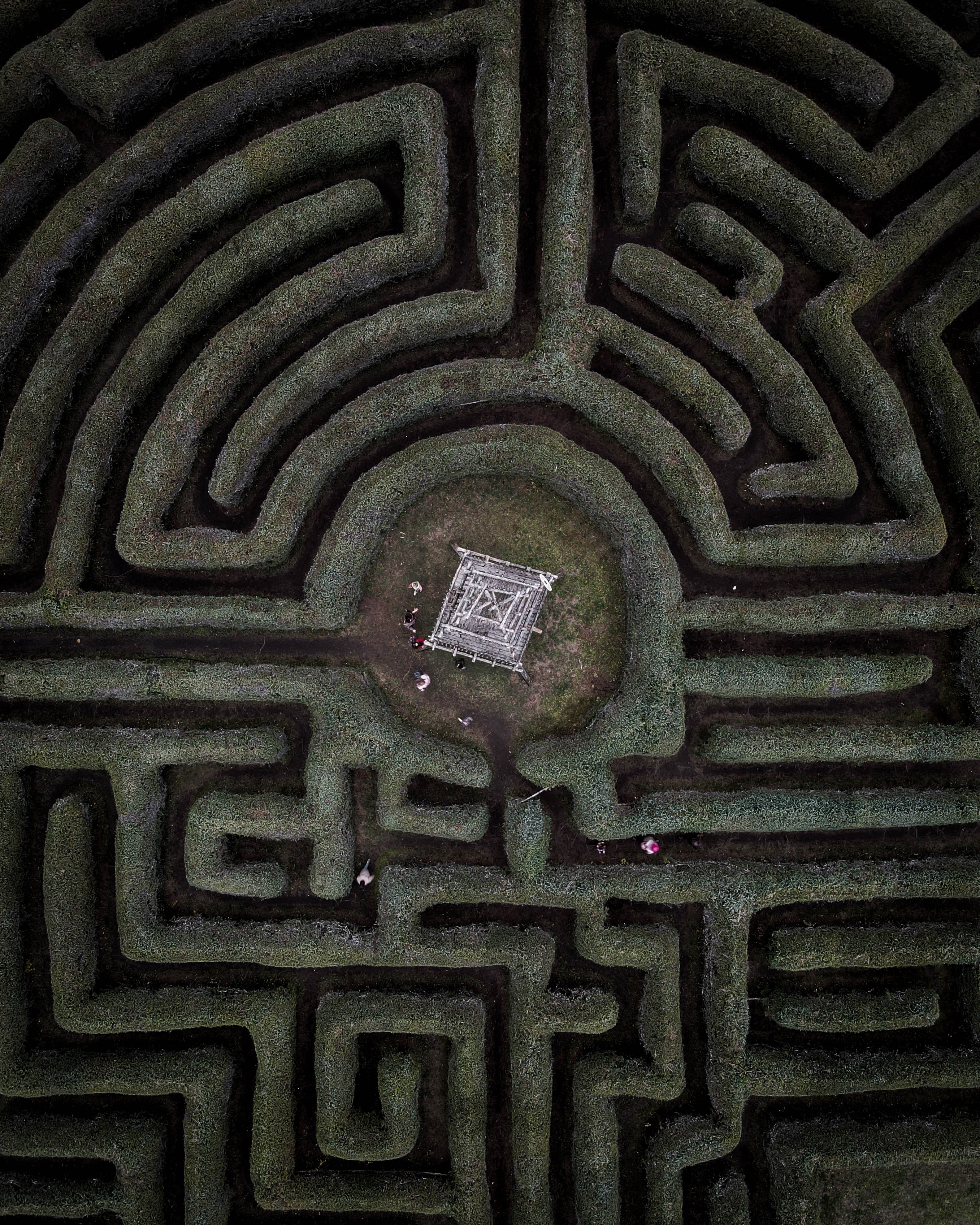 Maze Hacker #23