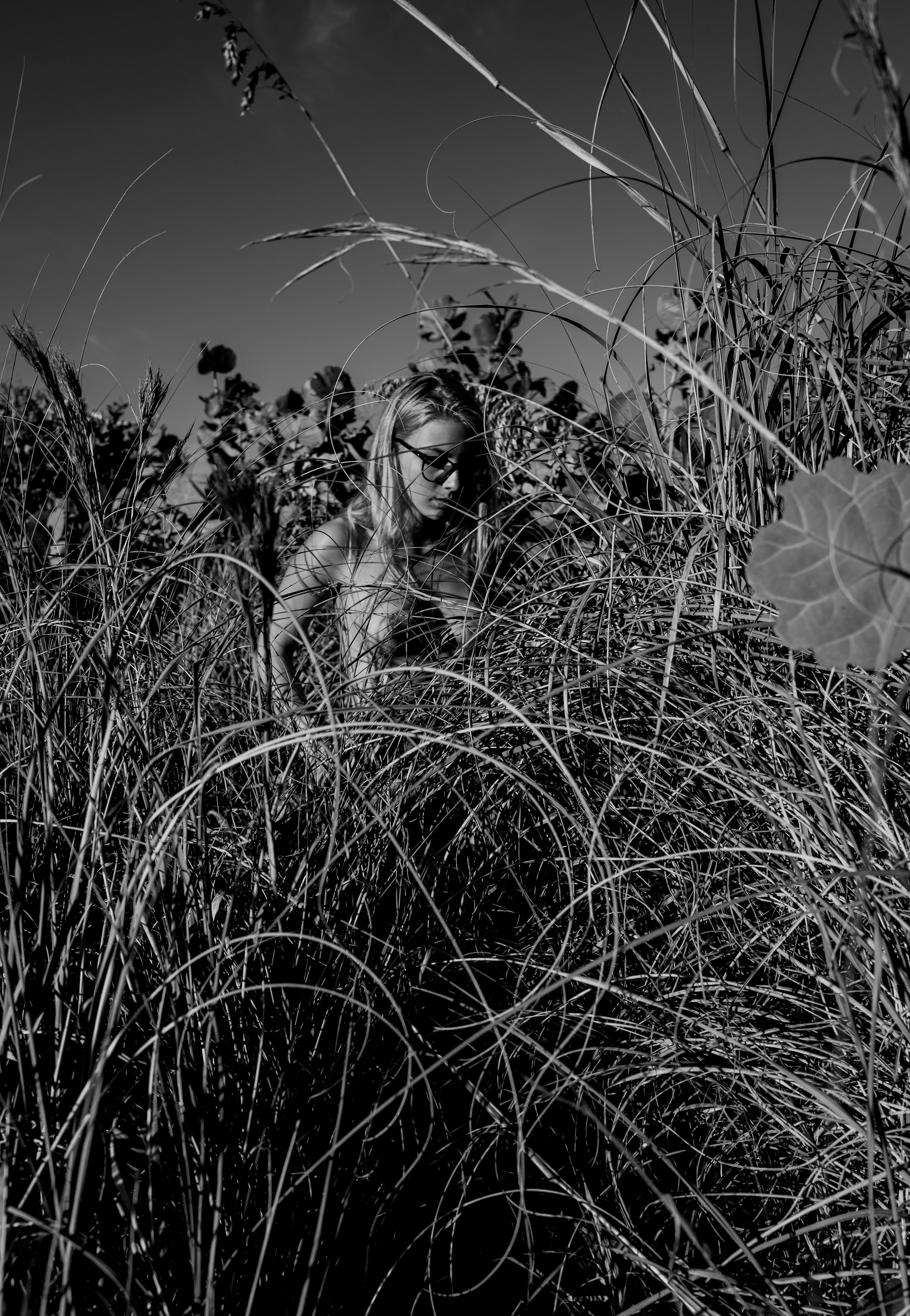 "Echo of Calm" - Anticipation of Solitude